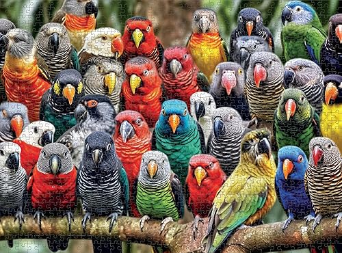 Miniatura 4 de Cross & Glory - Caleidoscopio de plumas - Rompecabezas de 1000 piezas para adultos  Obra de arte única de aves  Los mejores rompecabezas desafiantes