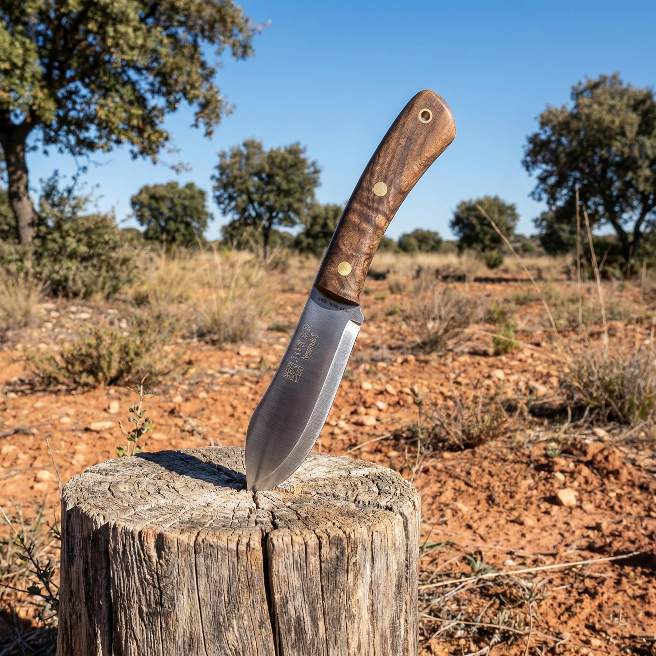 joker Coltello da caccia Nessmuk S CN132, mango Noce, lama 11 cm Sandvik 14C28N, con fodero in pelle marrone, per la pesca, la caccia, il campeggio e l'escursionismo