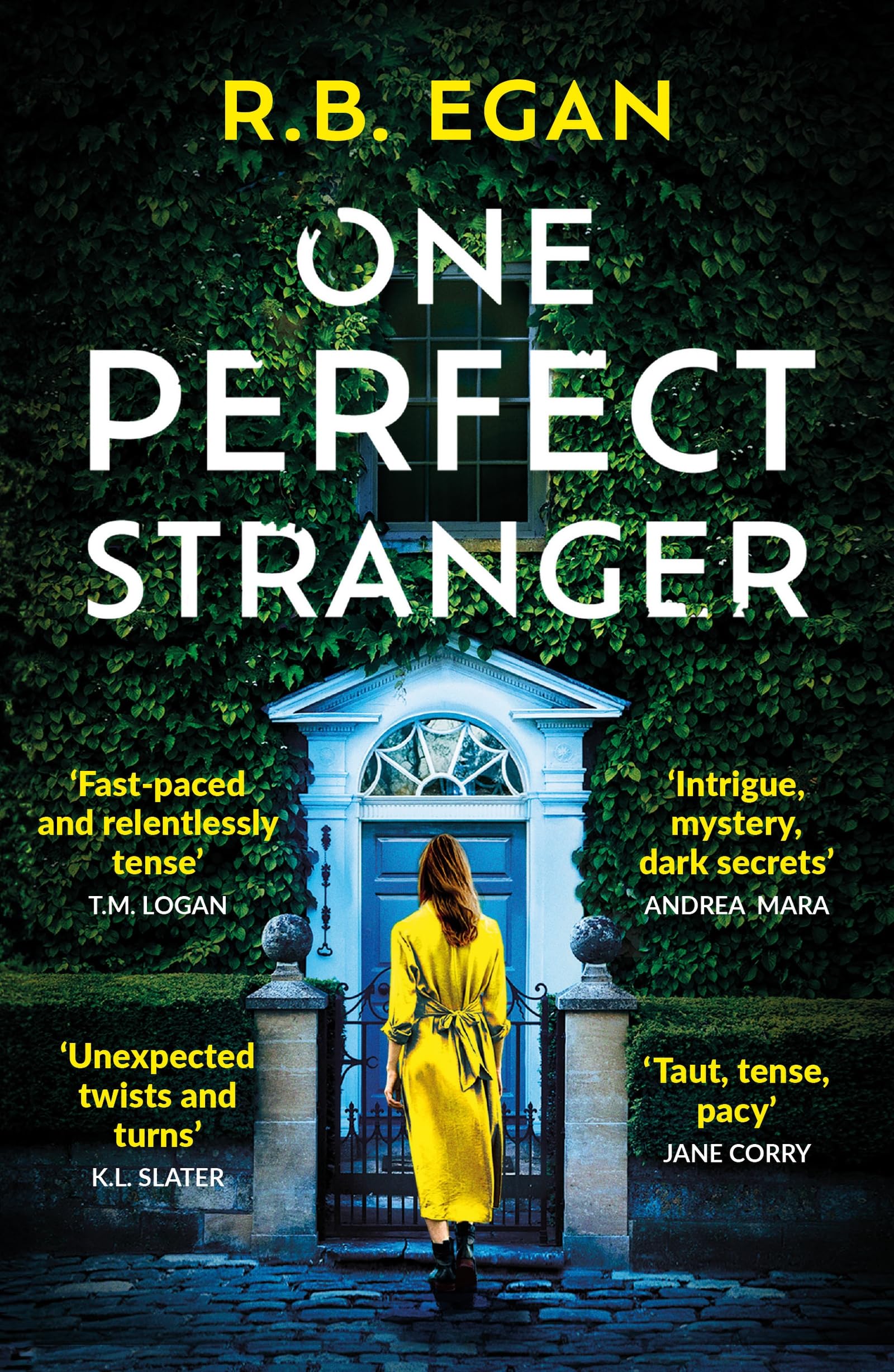 One Perfect Stranger: An utterly gripping psychological thriller with a heart-stopping twist