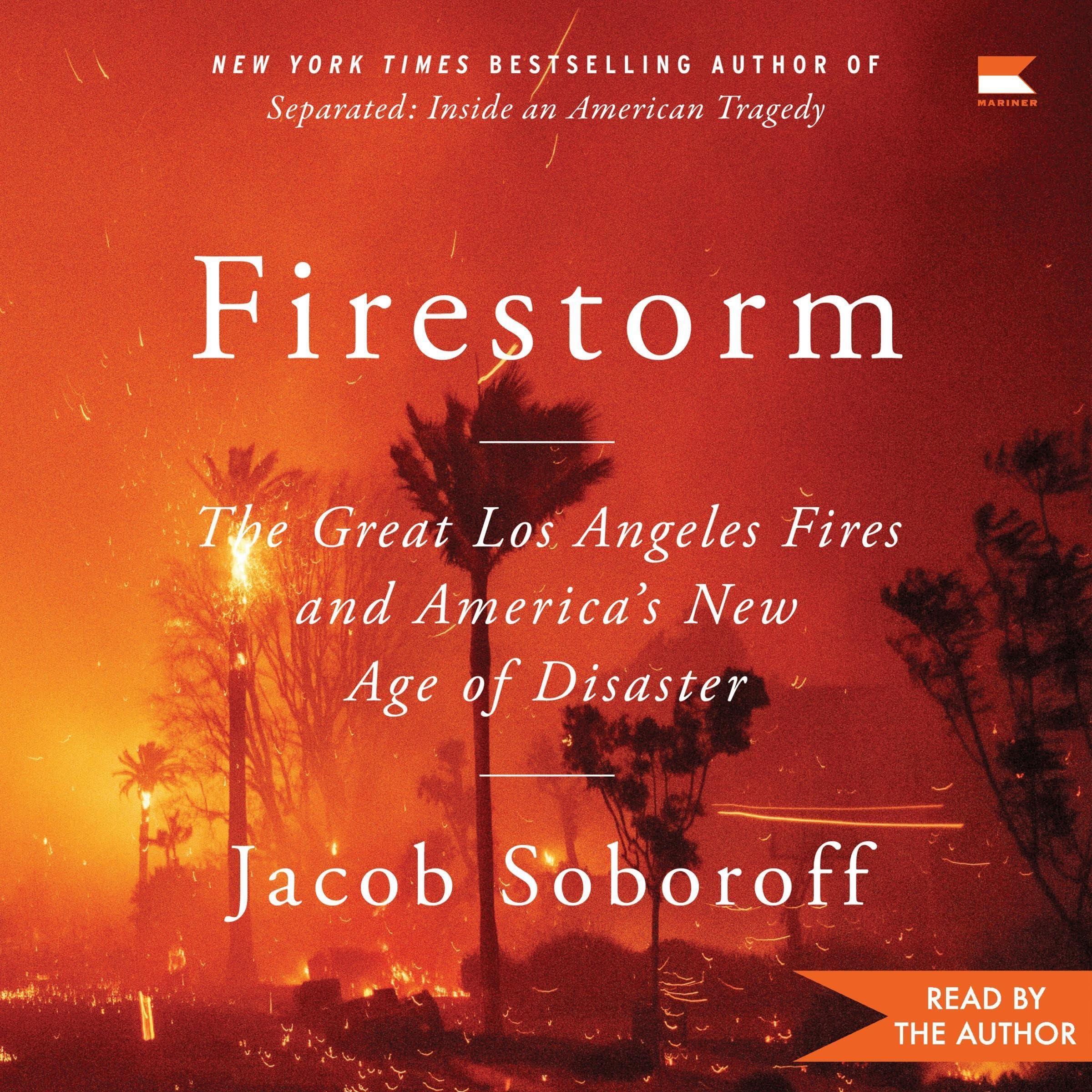 Cover art for Firestorm