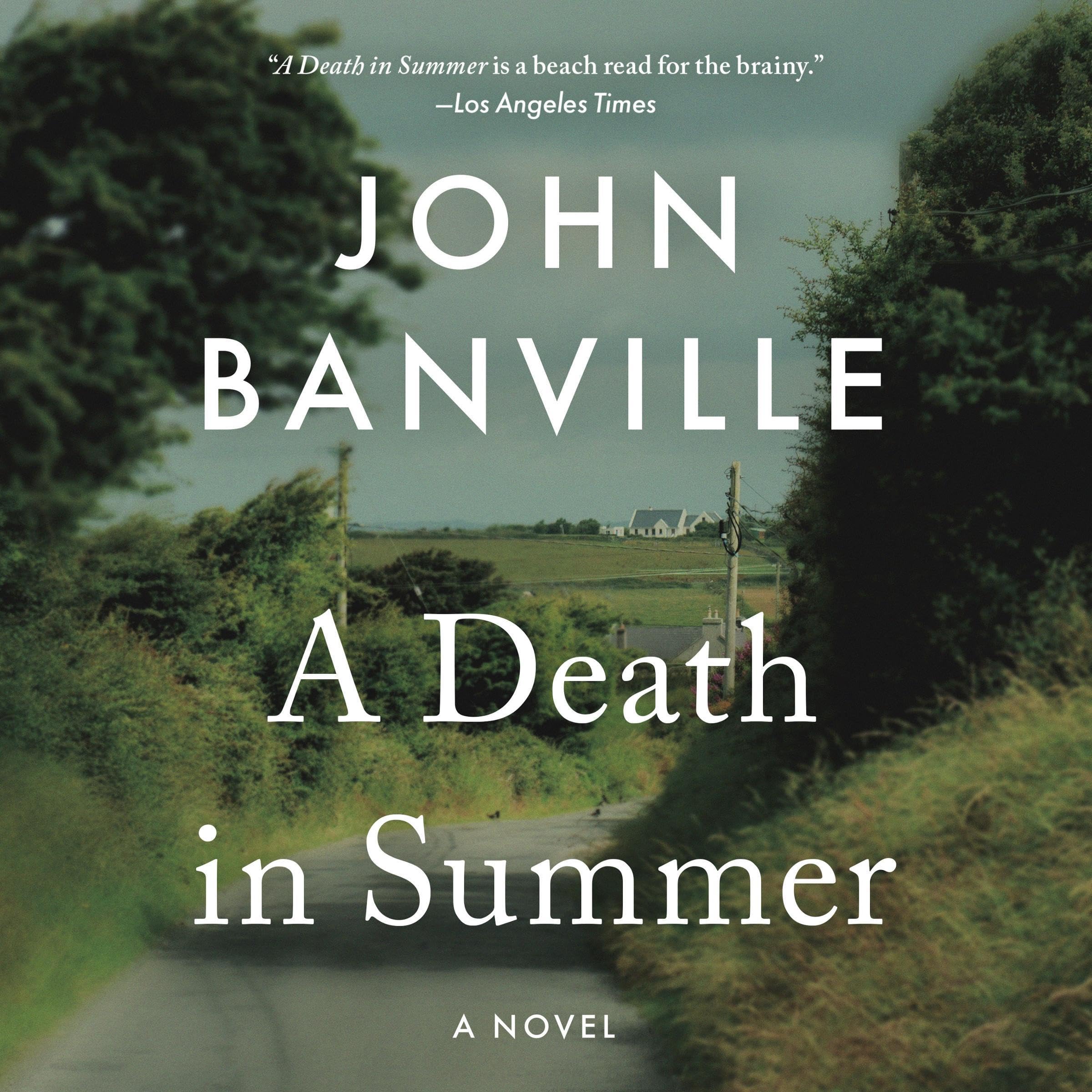 Cover art for A Death in Summer