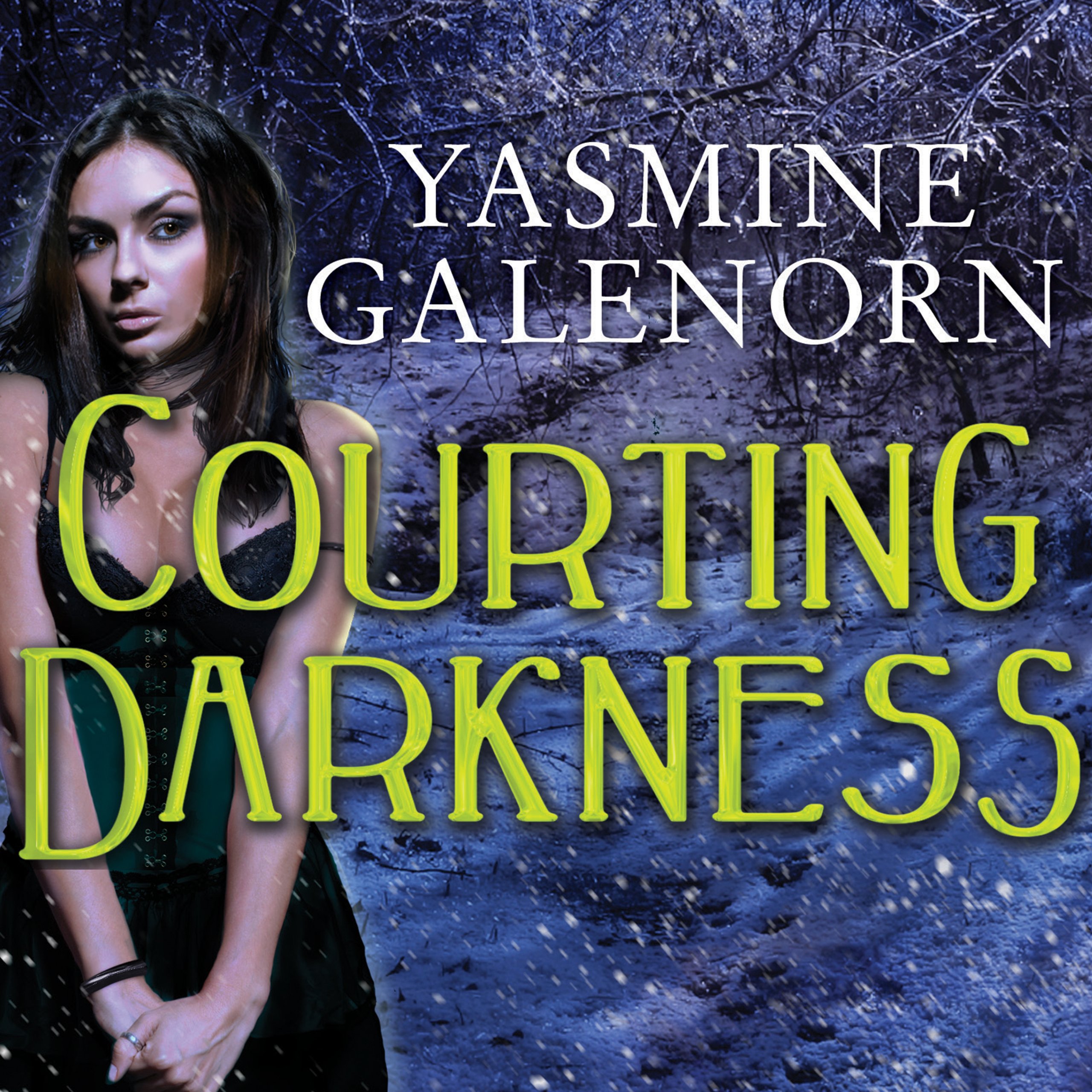 Cover art for Courting Darkness: Otherworld, Book 10