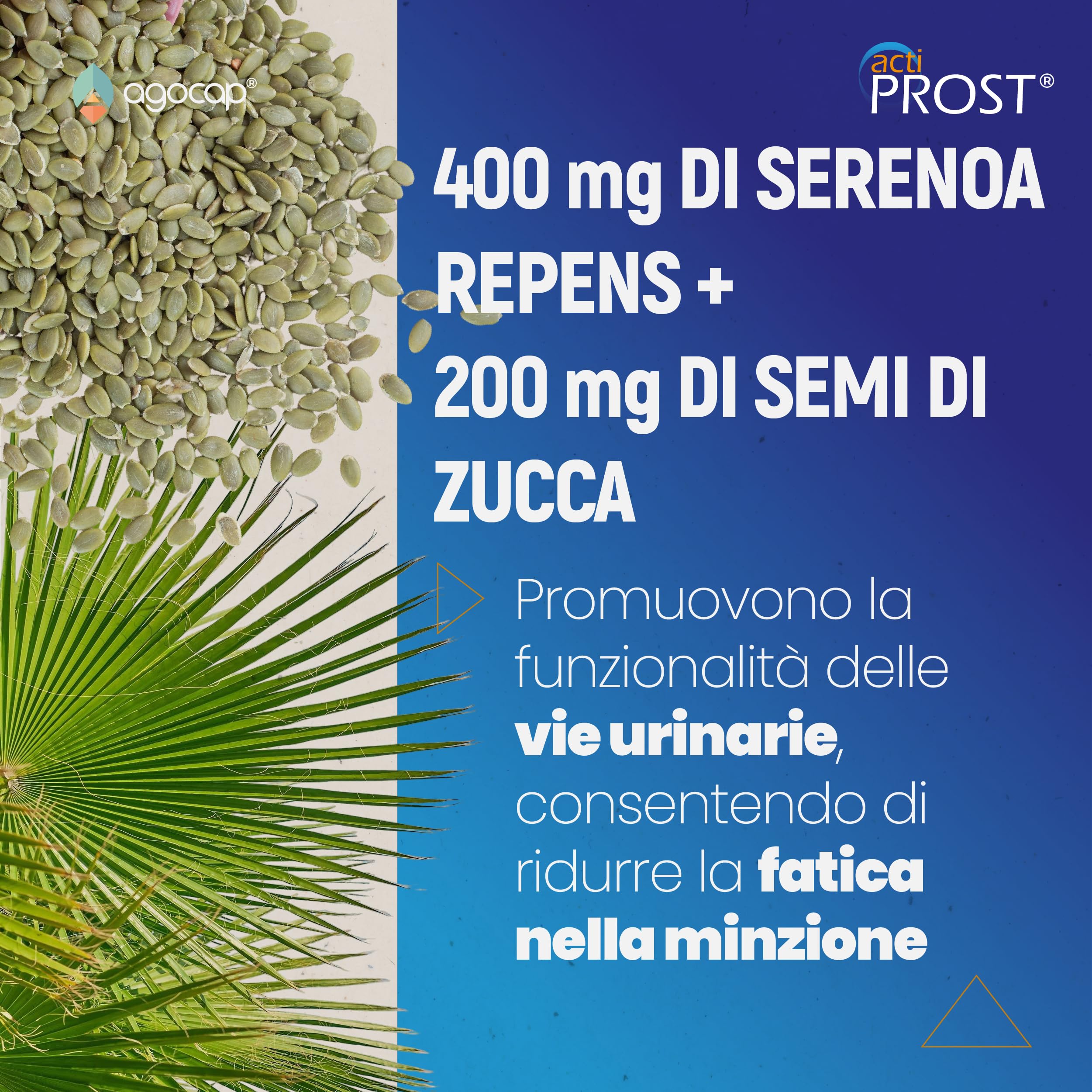 Actiprost, SERENOA REPENS 400mg e SAW PALMETTO - 90cpr, Alto Dosaggio. Integratore Prostata Uomo con Semi di Zucca, Pygeum Africanum, Epilobio, Ortica,. Riduci l'infiammazione della Prostata. Agocap