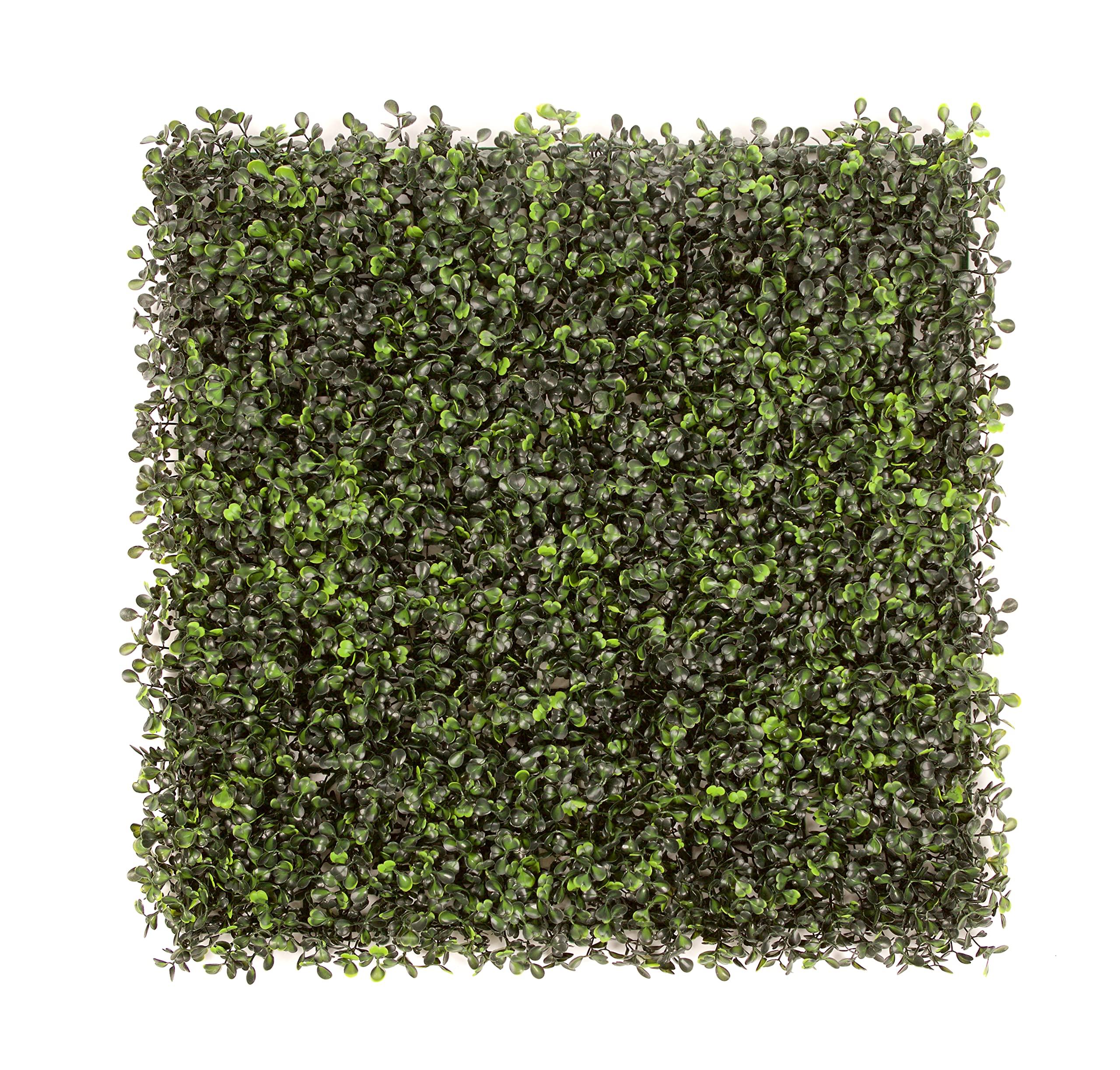 Best Artificial Boxwood 50Cm X 50Cm Mat Topiary Hedging Panel Screening