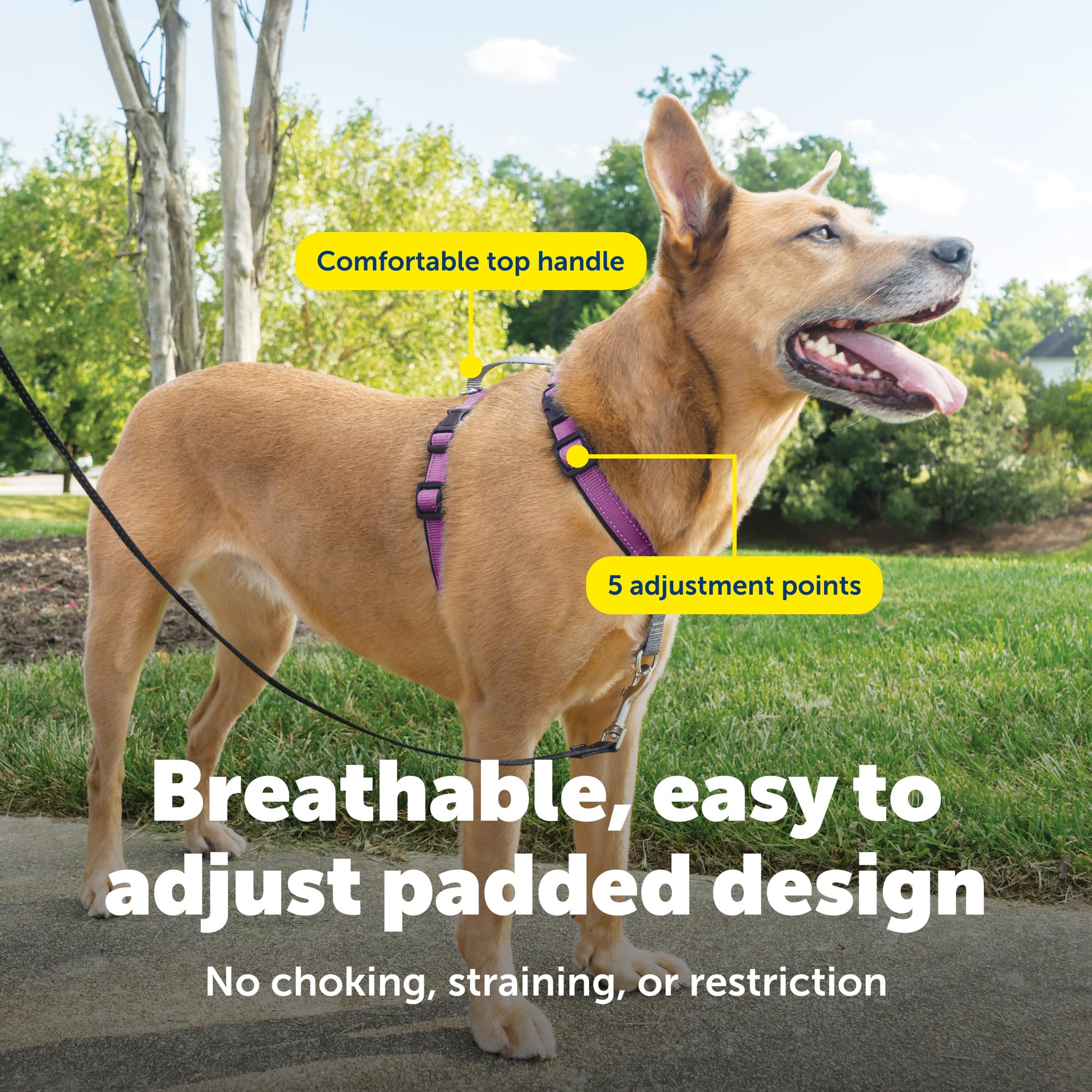 PetSafe Uprząż 3 w 1 i urządzenie przytrzymujące samochód, średnie, śliwkowe, bez ciągnięcia, regulowane, trening dla małych/średnich/dużych psów