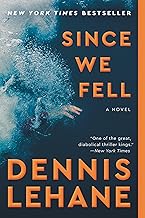Since We Fell: A Novel