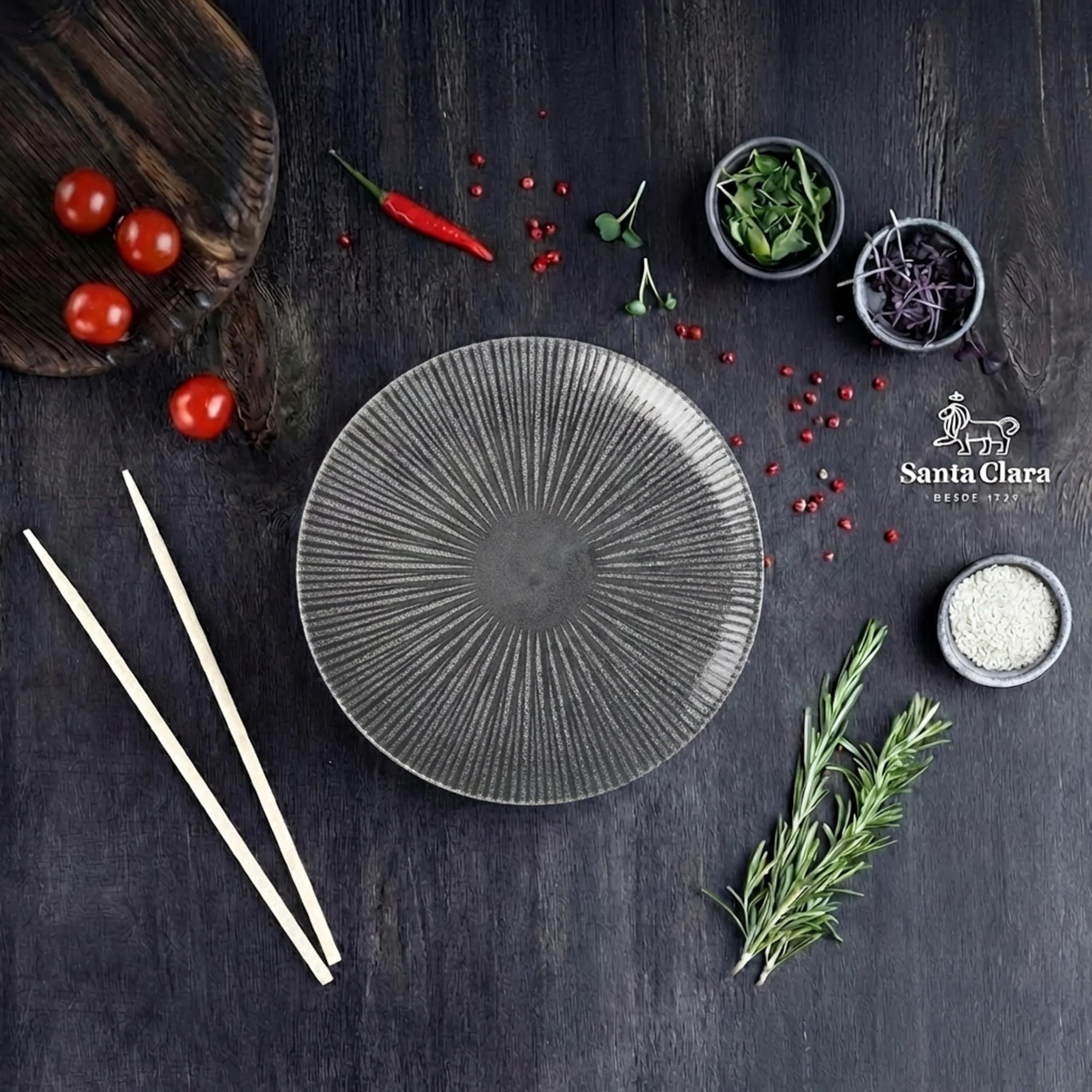 SANTA CLARA | Vajilla Completa 12 Piezas Porcelana Decorada para 4 Personas, Apta Microondas y Lavavajillas, Vajilla Electra Grafito para Hogar y Cocina