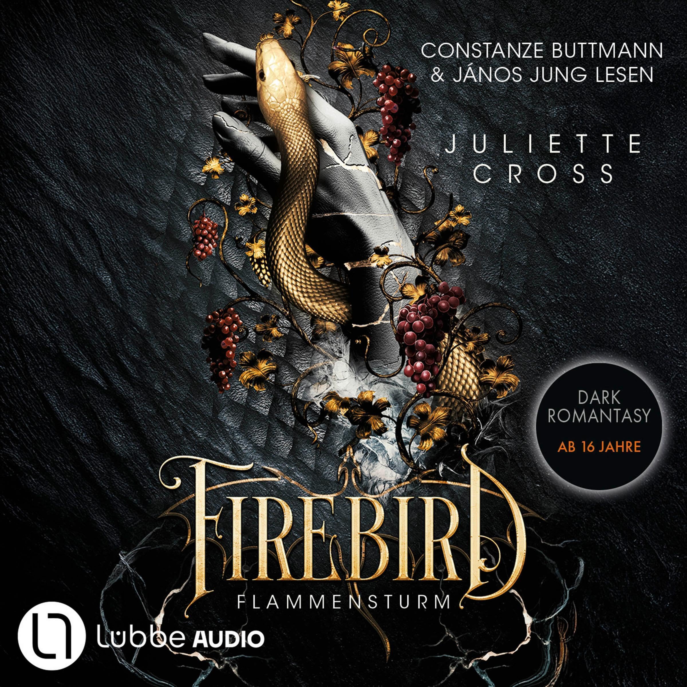 Cover art for Firebird: Flammensturm, Teil 1