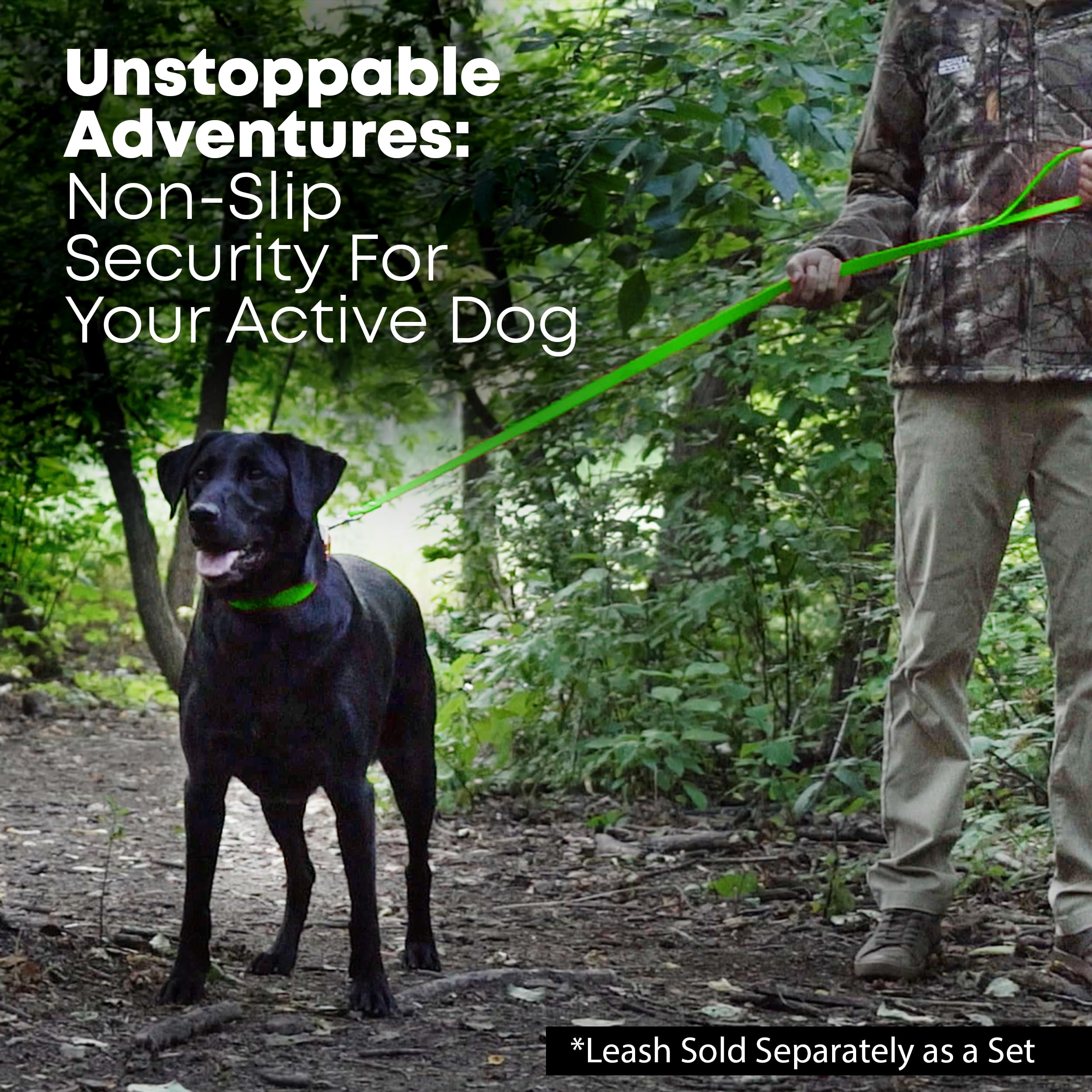 Regal Dog Products Collare e guinzaglio per Cani Resistenti all'Acqua Verde - Fettuccia Rivestita in Vinile su Misura, Doppia Fibbia e Anello a D per Cani di Taglia Media