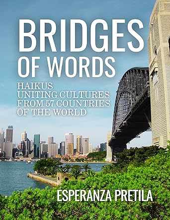 Bridges of Words