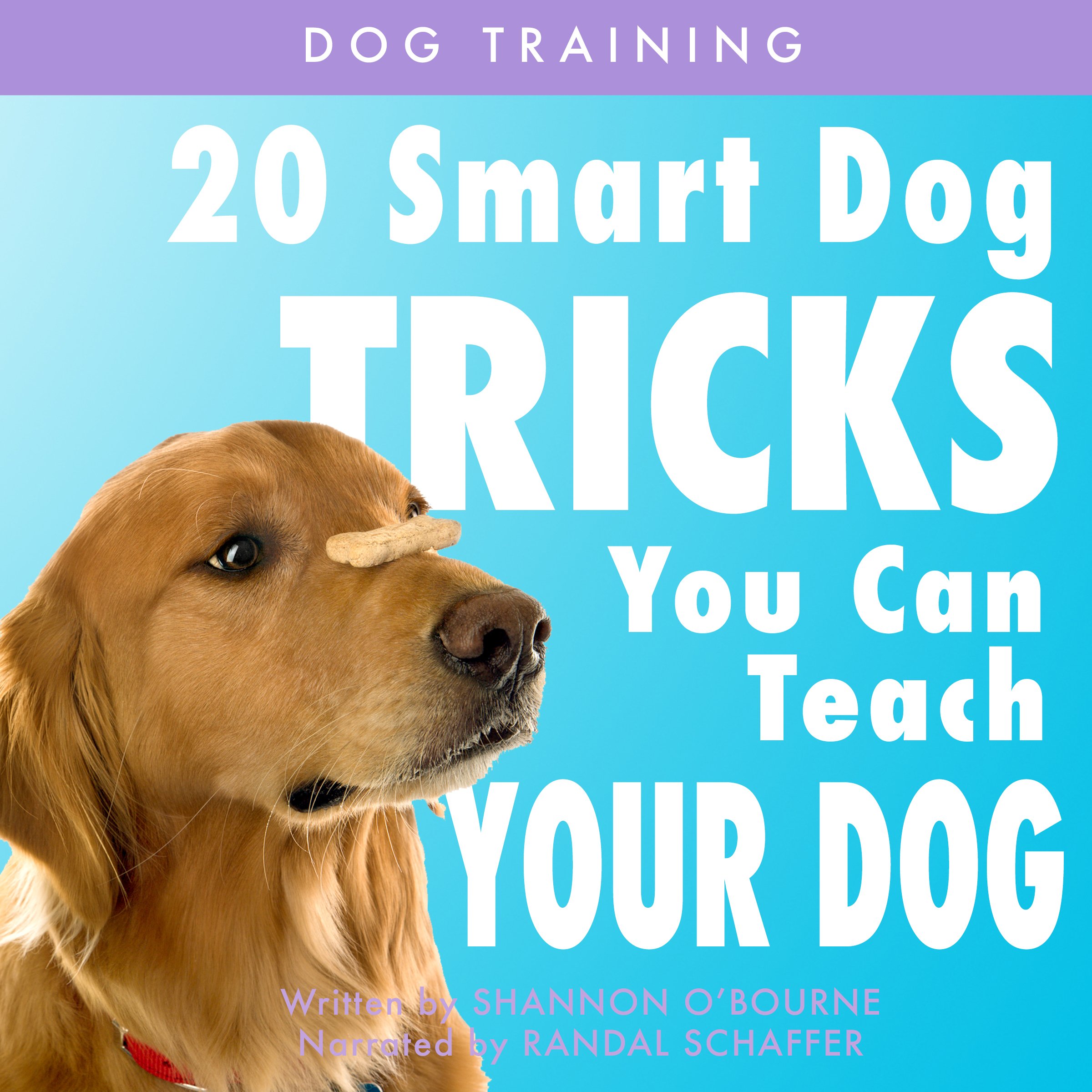 Cover art for Dog Training: 20 Smart Dog Tricks You Can Teach Your Dog