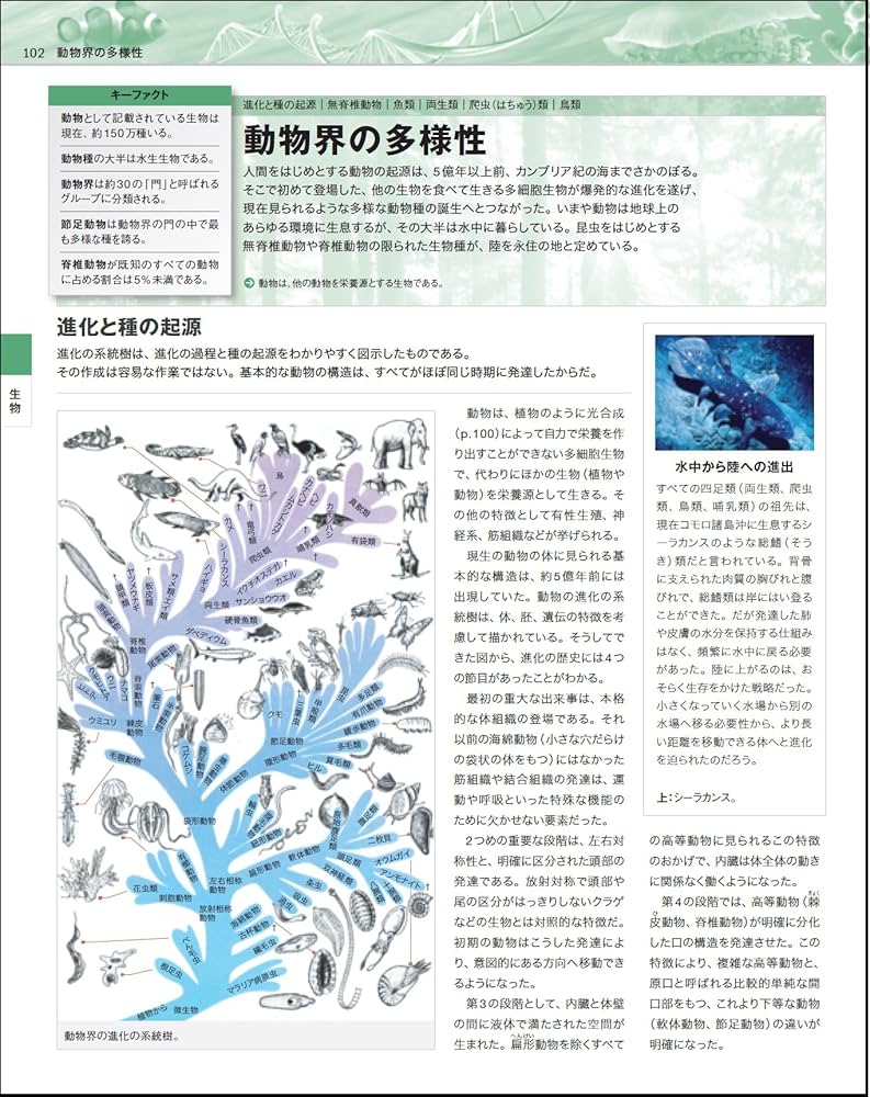 SALVEO　サルビオ　ビジュアル栄養科学辞典　全5巻　（株）ダイレック SALVEO サルビオ ビジュアル栄養科学辞典 全5巻 （株