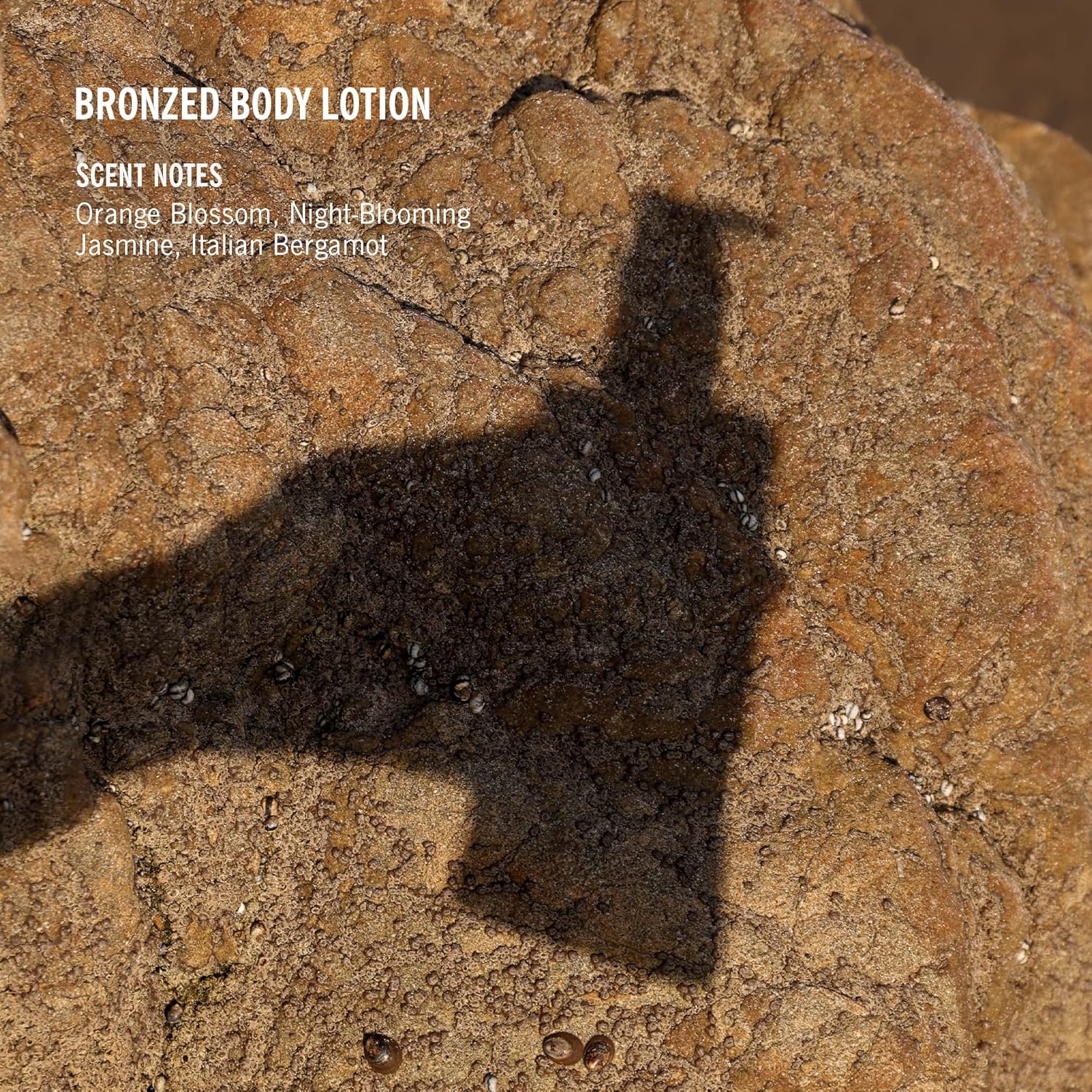 APOTHIA - Bronzed Hand & Body Lotion | Orange Blossom & Jasmine | Award Winning Moisturizing Scented Lotion with Naturally Derived Ingredients | Paraben Free | 10 oz | Small Batches for Luxury Quality - Image 5