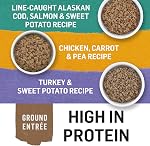 Beyond Nourriture Humide Naturelle Sans Céréales pour Chiens, Pack Variété Entrée Hachée 3 Saveurs - Canette de 368 g (6 paquets)