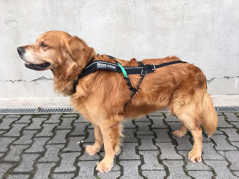 Peitoral de Tração Freemotion para Cães Ativos Non-stop dogwear – Tamanho 8