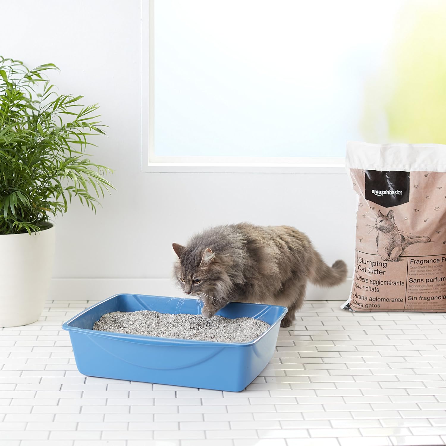 Amazon Basics Clumping Cat Litter, 40 lb Bag (Discontinued)
