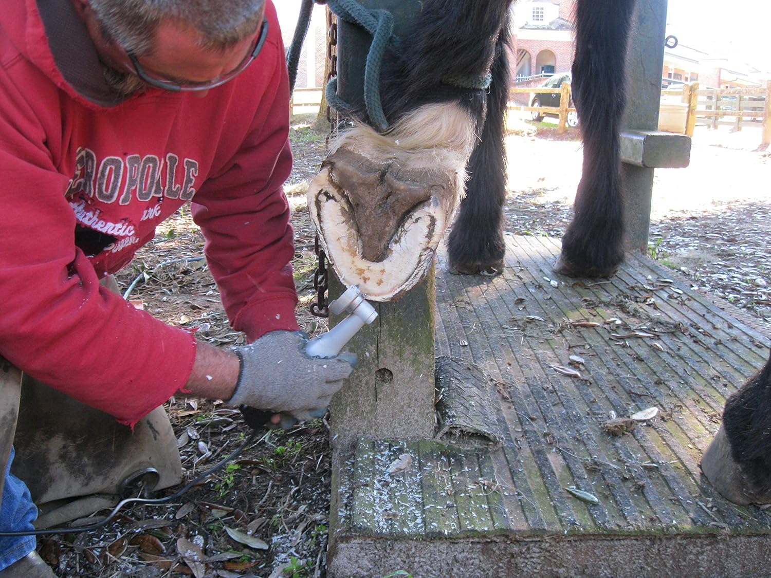 Hoof Boss - Horse Hoof Trimmers Complete Electric Set 110v - Horse Hoof Trimming Tools - Farrier Tool Kit - Grinder Discs and Accessories Included