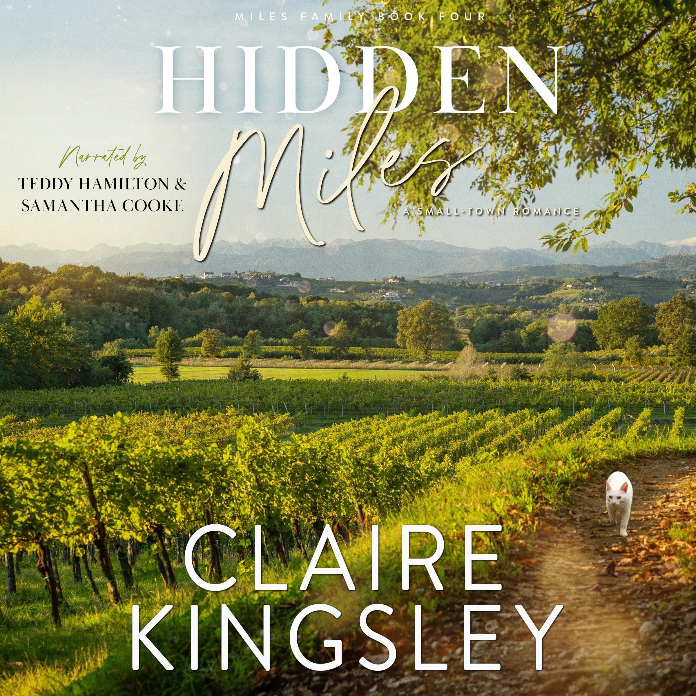 Cover art for Hidden Miles