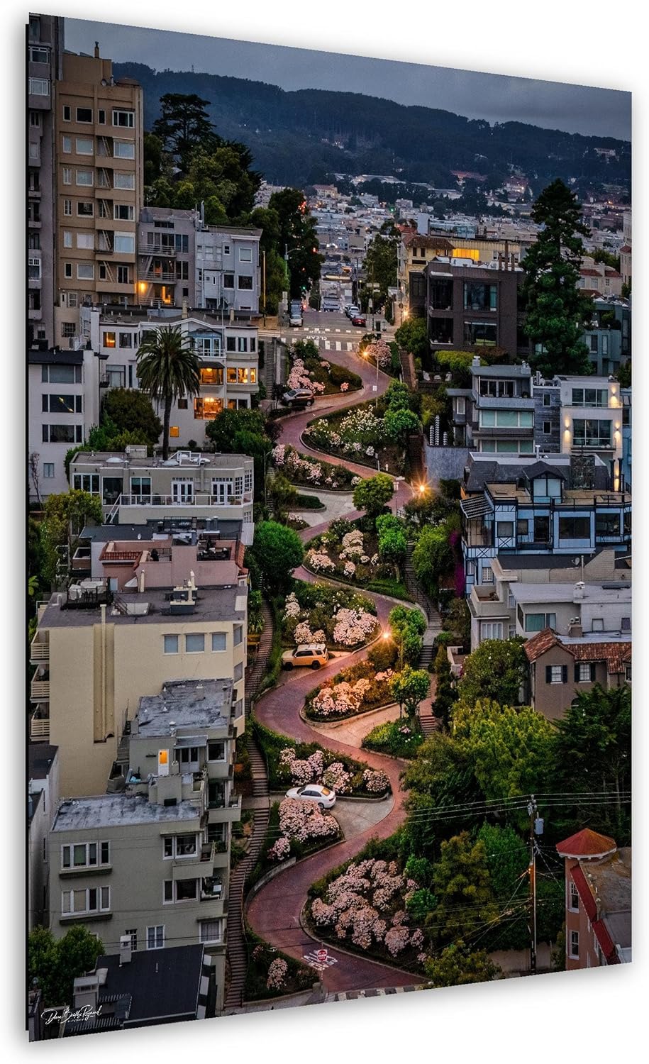 Lombard Street Sunrise Photo Print: San Francisco Crooked Road Art
