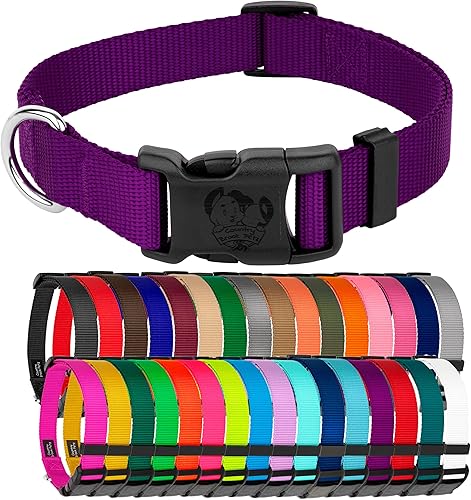 Country Brook Design  Collar de nailon de lujo para perro con vibrante selección de 25 colores, Púrpura