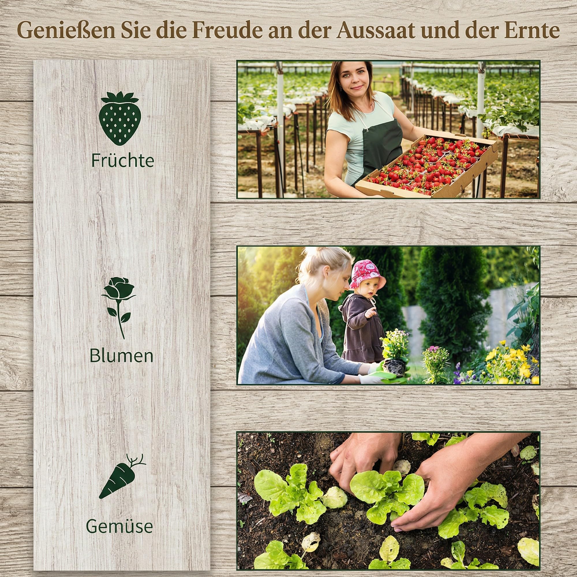 Outsunny Gewächshaus mit Gitterfolie, Winterfest Foliengewächshaus aus Stahl, Treibhaus für Balkon, Garten, Tomatenhaus 200 x 100 x 80 cm, Tomatengewächshaus für Tomaten, Gemüse, Transparent