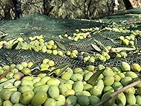 Vista 5 de Laconiko Ultra Premium Aceite de Oliva Virgen Extra (Limón)