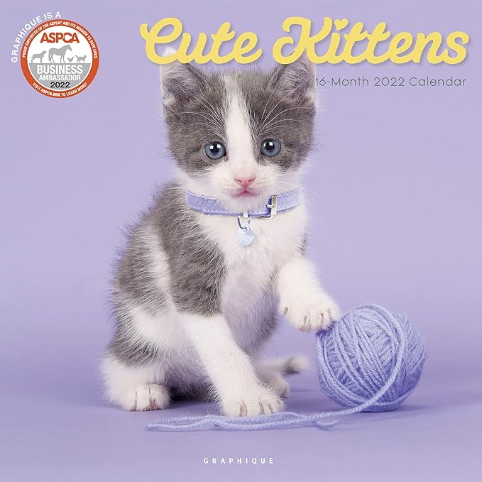 Bu Calendar 2022 Graphique Cute Kittens Wall Calendar, 16-Month 2022 Calendar, 12”X12” W/ 3  Languages, 4-Month Preview & Marked Holidays : Amazon.co.uk