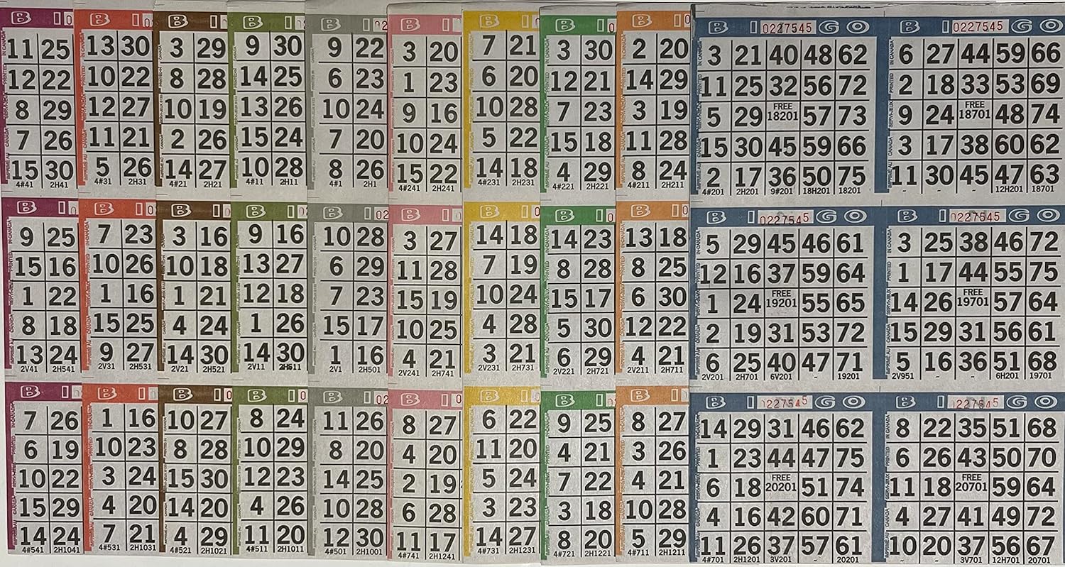 The Ticket Gurus Bingo Paper Game Cards - 6 Cards - 10 Sheets - 100 Books