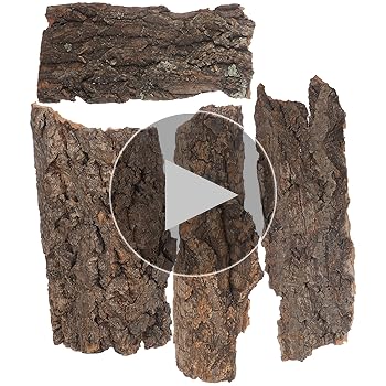 Terrarium Decor 4-Pack Natural Cork Bark For Reptiles - Assorted