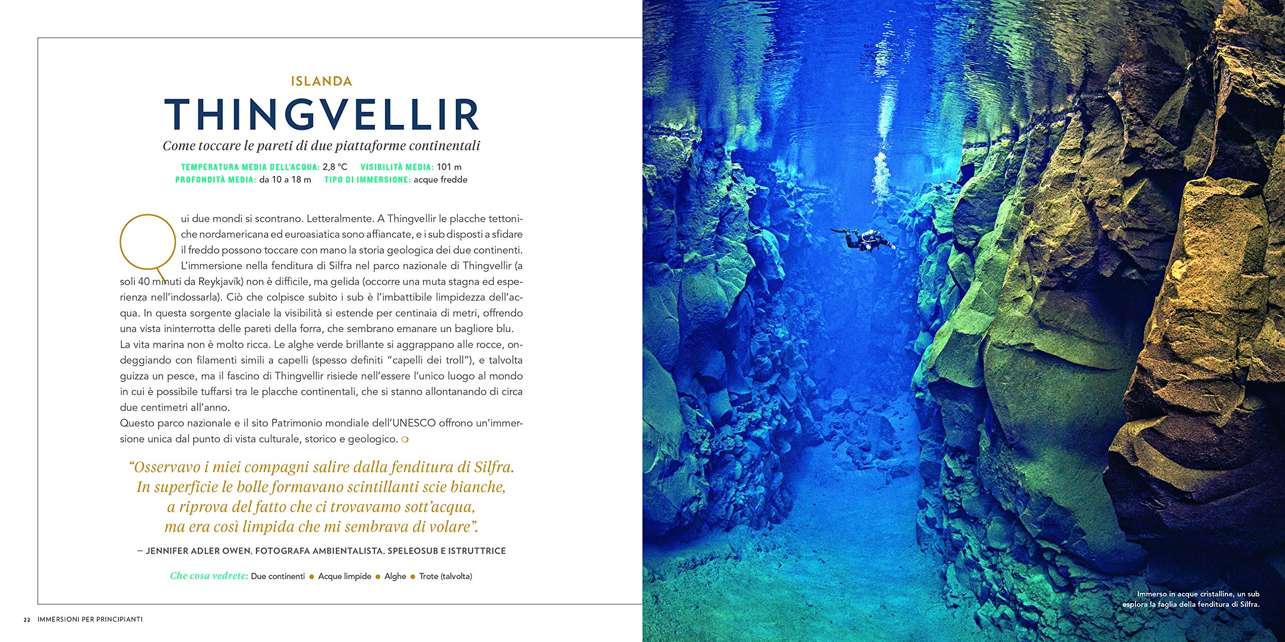 Le 100 più belle immersioni del mondo. Ediz. illustrata