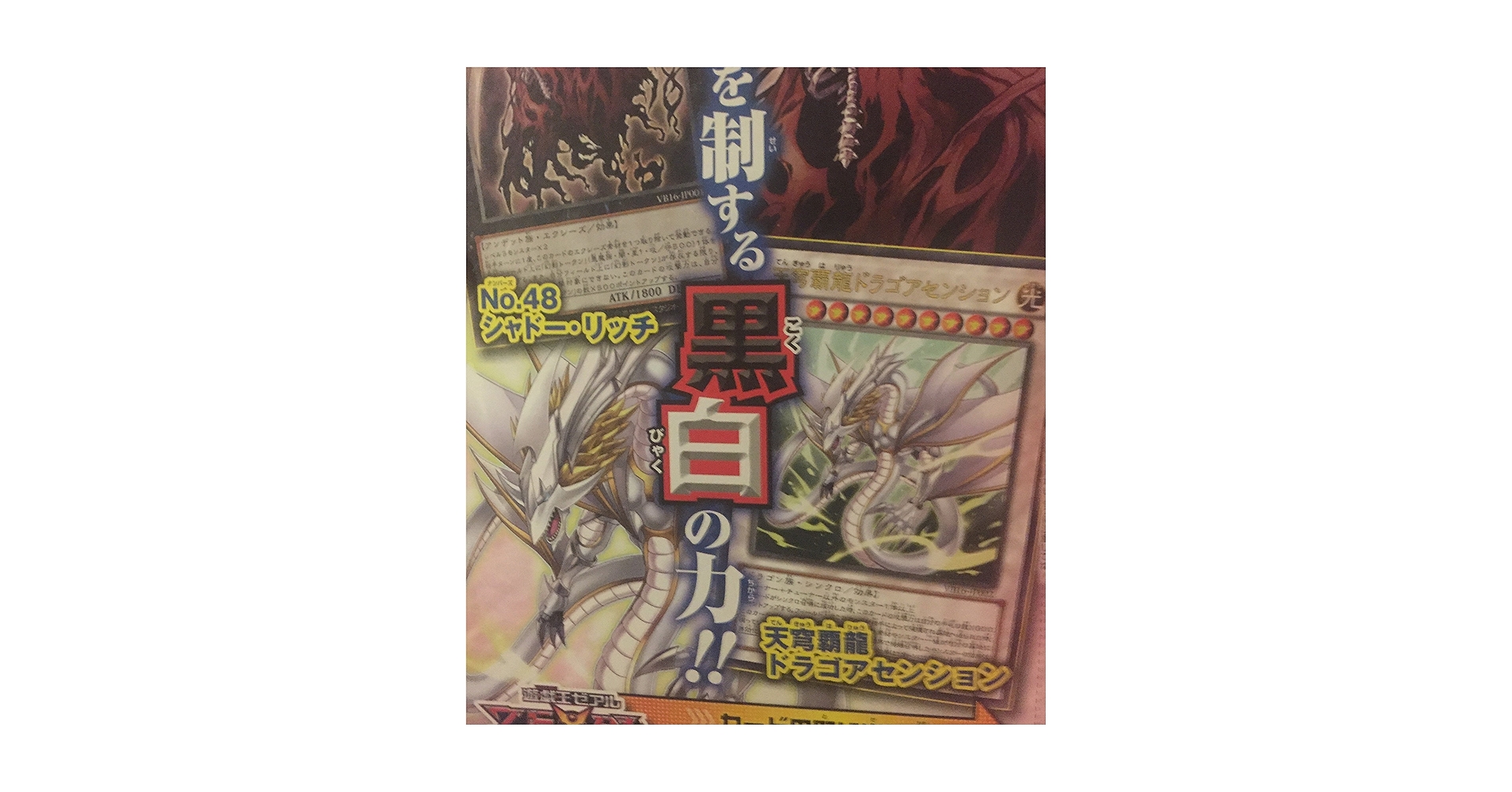 Amazon.co.jp: 遊戯王 No.48シャドーリッチ 天穹覇龍ドラゴ