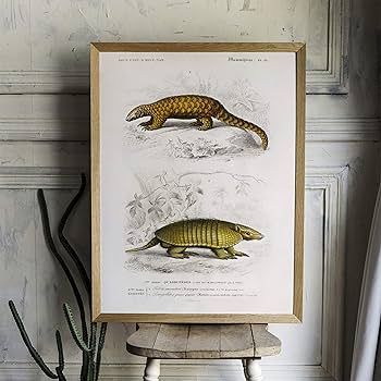 【yz ab】アンティーク調壁掛け画 Amazon.co.jp: 掛け軸 壁掛け絵画 装飾 中国伝統アート 4枚