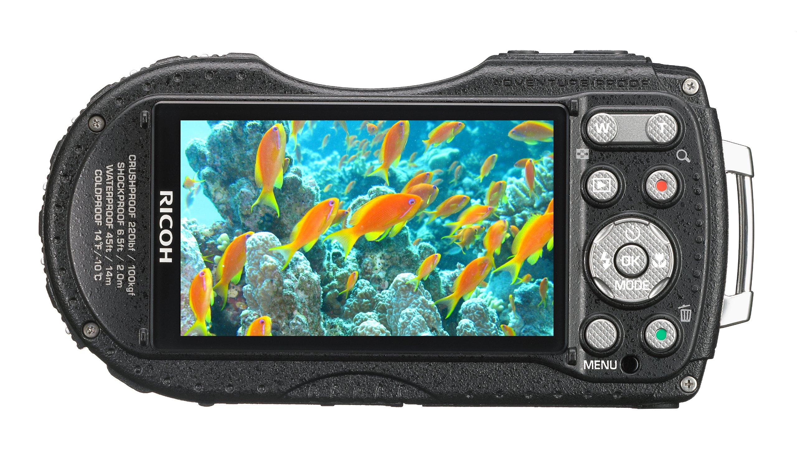 Amazon.com : Ricoh WG-4 GPS Blue 16Digital Camera with 4X Optical