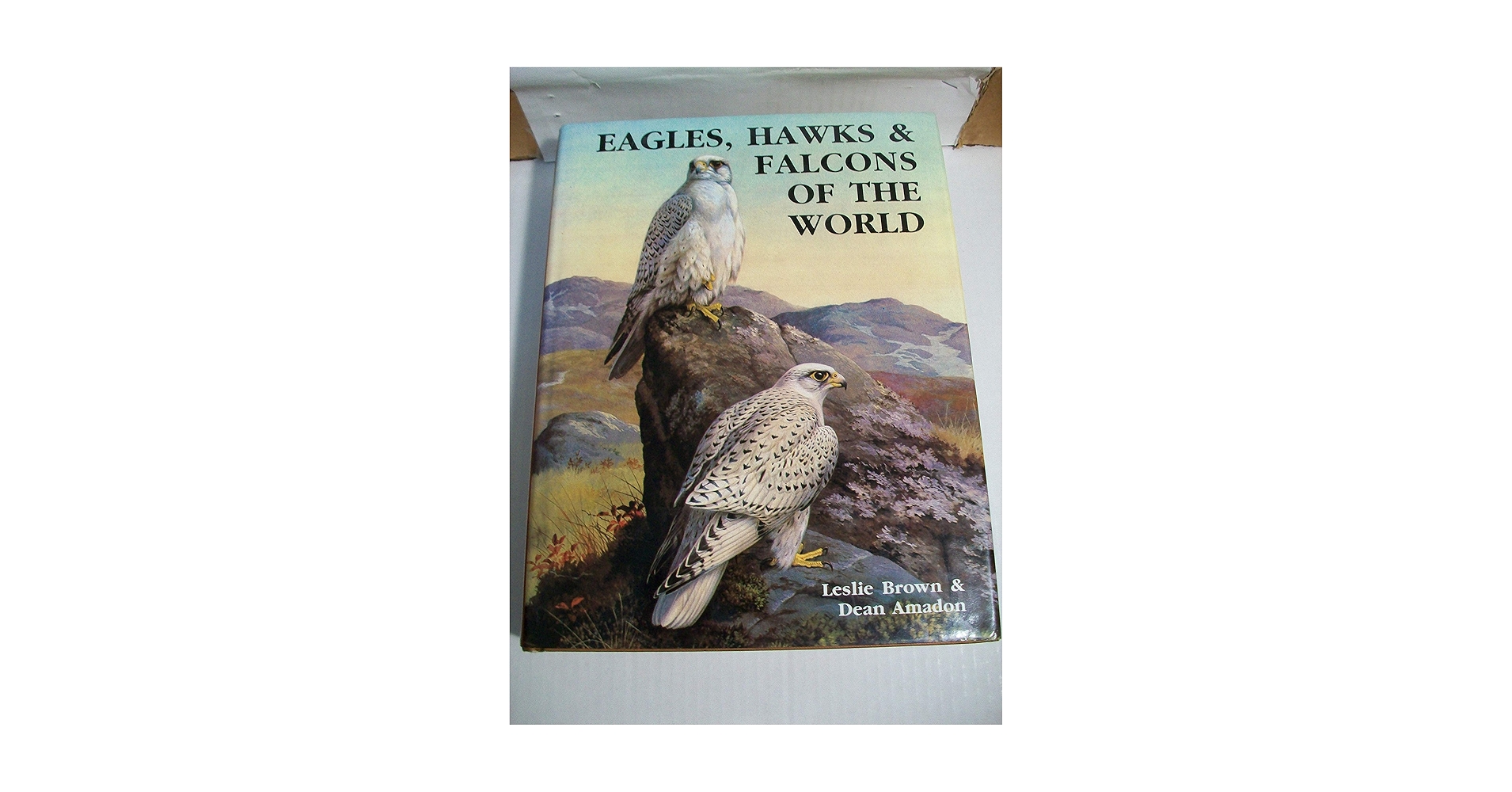 洋書 Eagles Hawks and Falcons of the World Eagles, Hawks and 洋書 Eagles Hawks and Falcons of the World Eagles, Hawks and