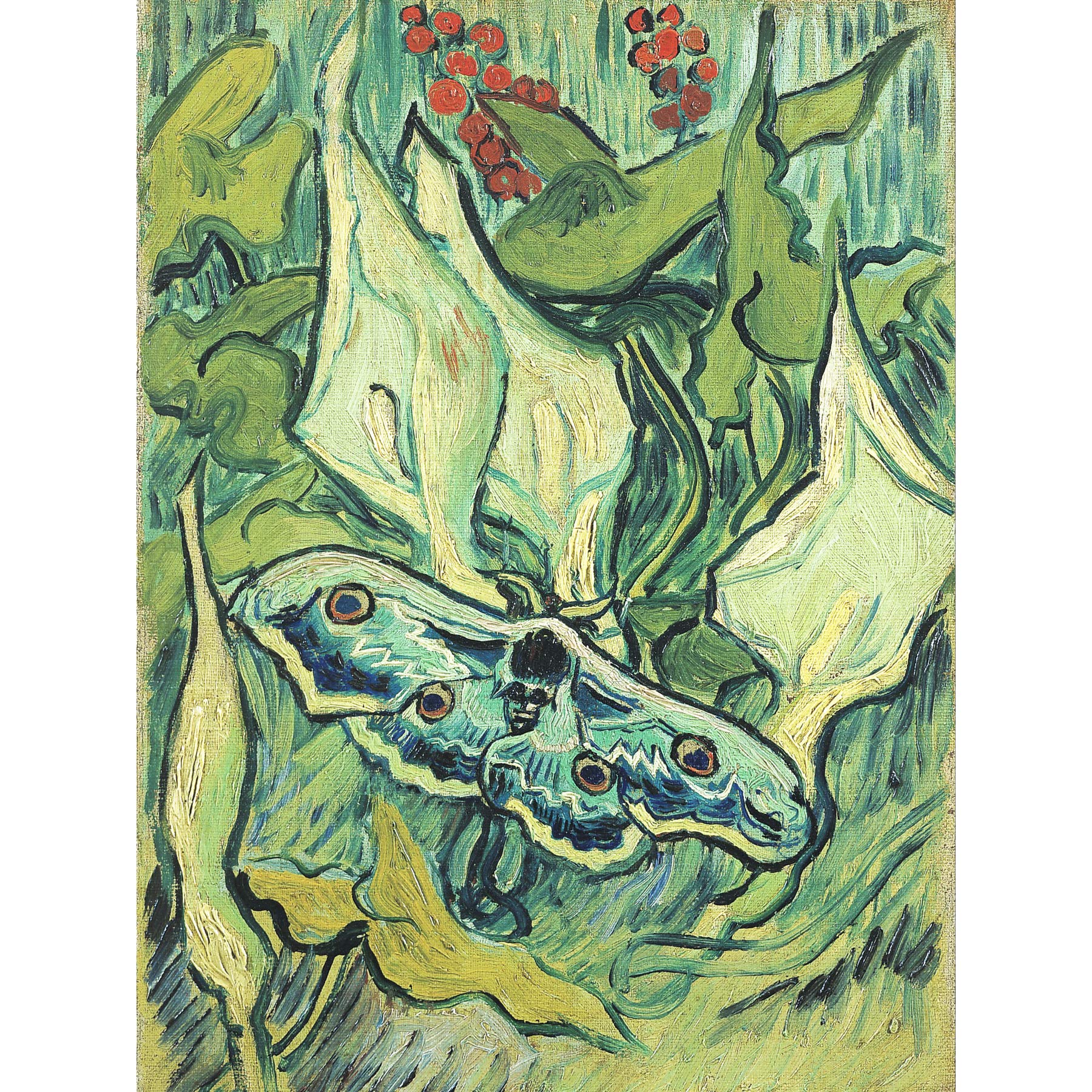 Vincent Van Gogh Emperor Moth Large Wall Art Print Canvas Premium Poster Mural