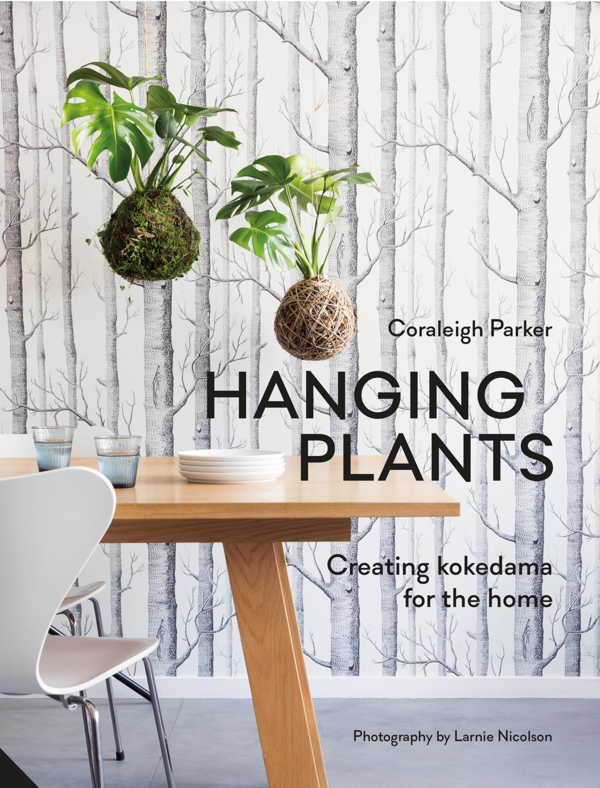 Hanging Plants: Creating Kokedama for the Home