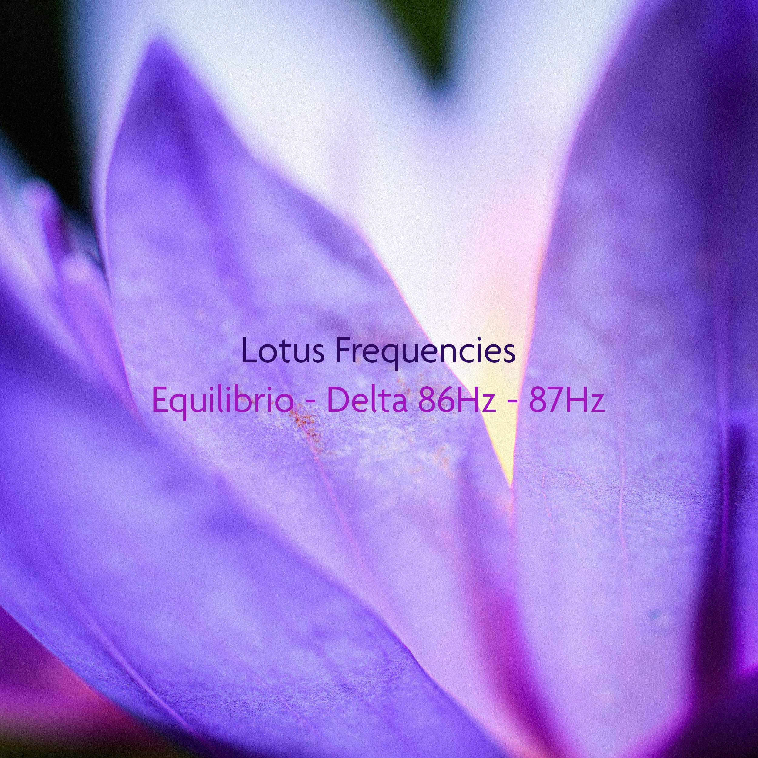 Lotus Frequencies