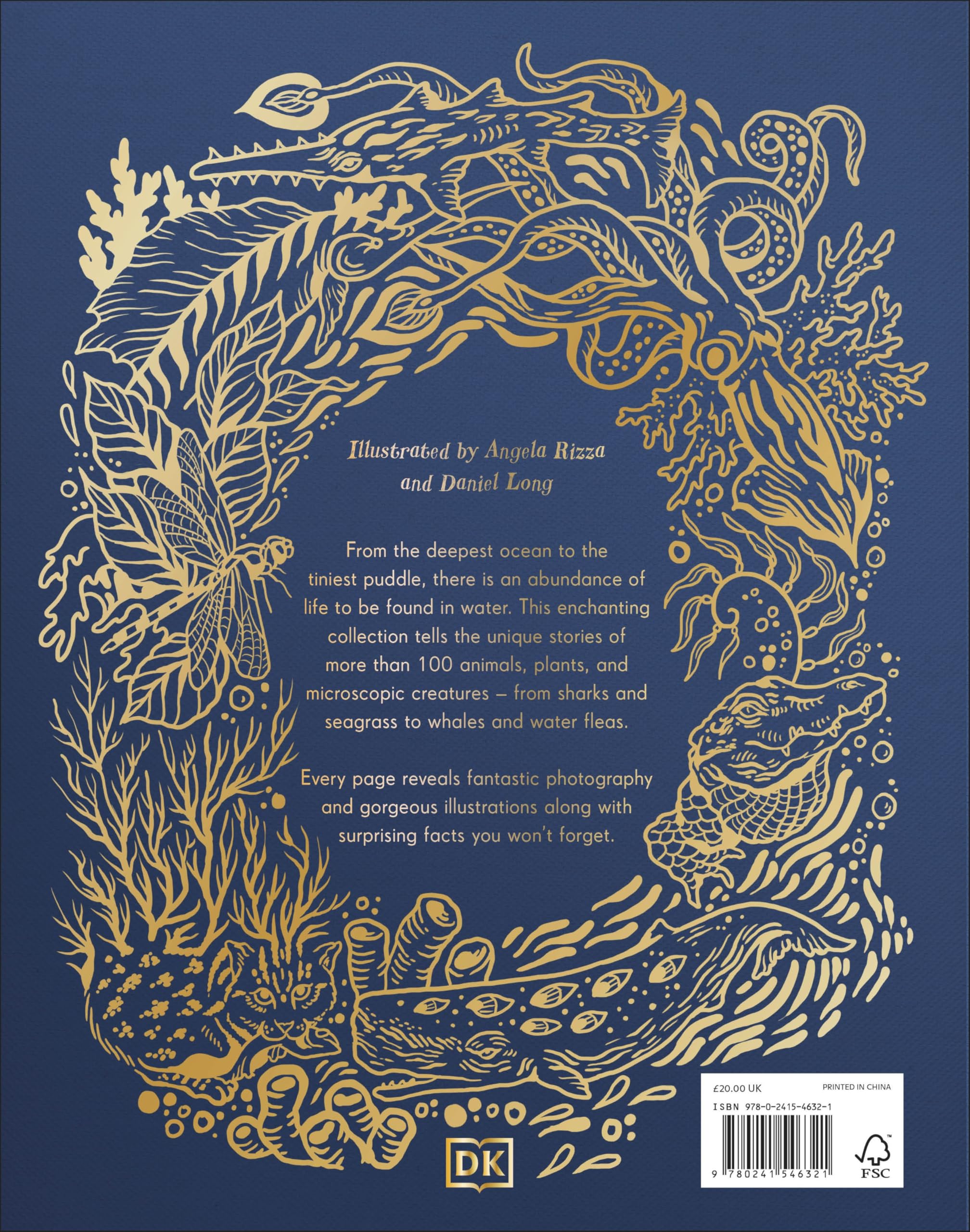 An Anthology of Aquatic Life: Discover the Secret Lives Under the Sea