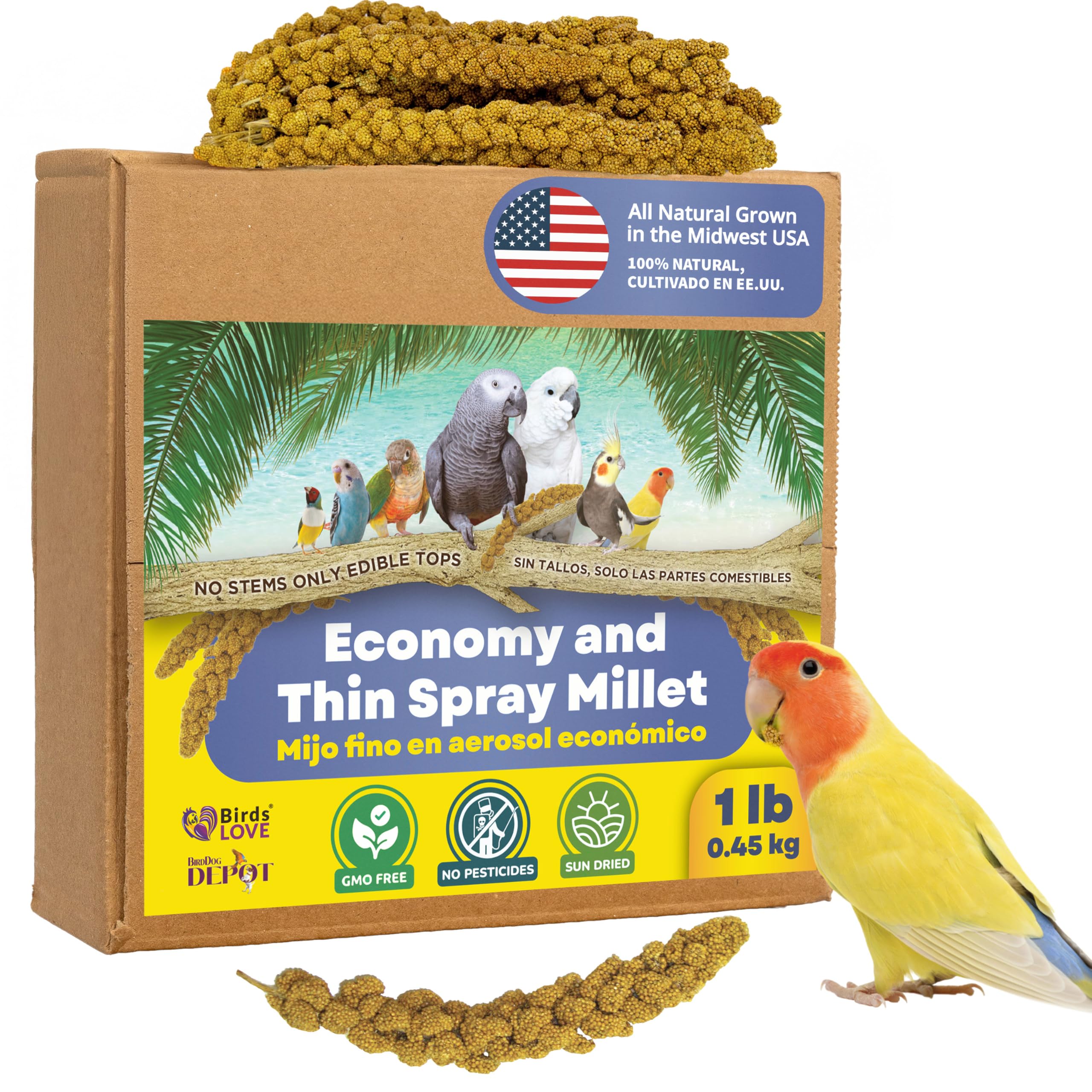 1lb Economy & Special Spray Millet for Birds – GMO-Free, No Stems (Only Edible Tops) – 100% Natural Sun-Dried Foraging Treat for Cockatiels, Lovebirds