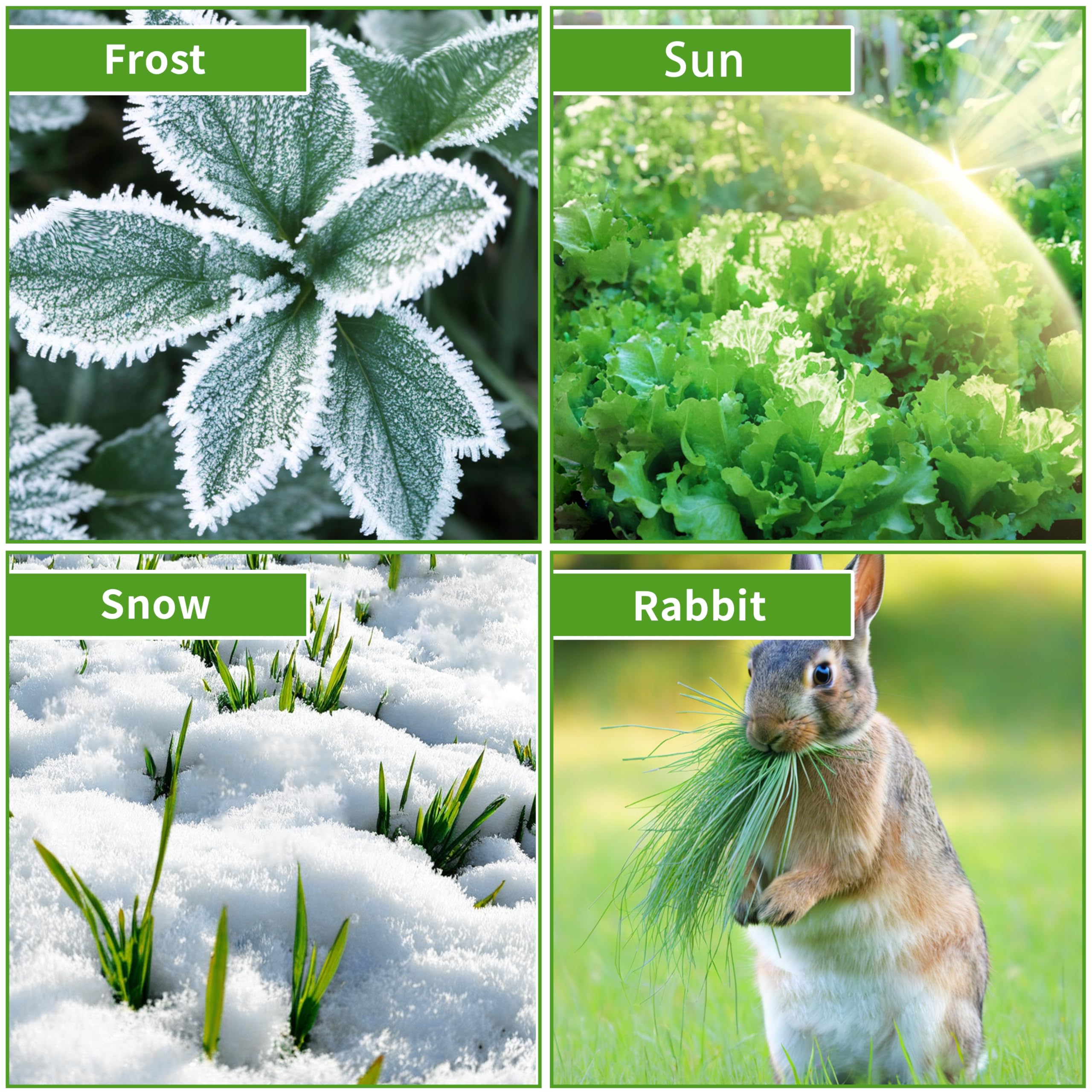 Cubiertas para plantas de 10 x 30 pies, protección contra la congelación, paños de 1.5 onzas/yd², manta para plantas para cama de jardín elevada de invierno, cubierta de jardín para nieve, árbol