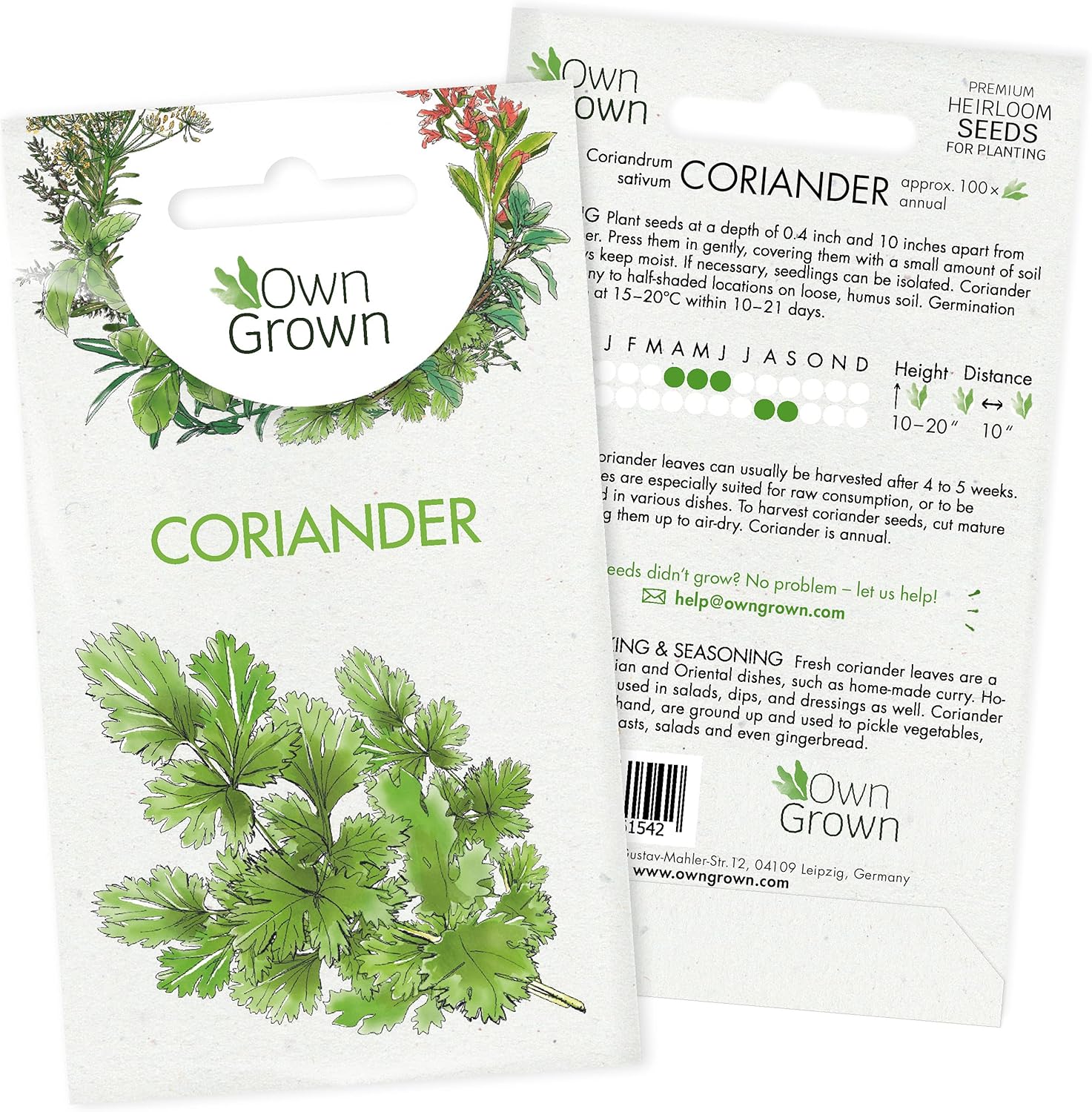 Coriander Seeds (Coriandrum sativum), Annual Coriander Seeds for