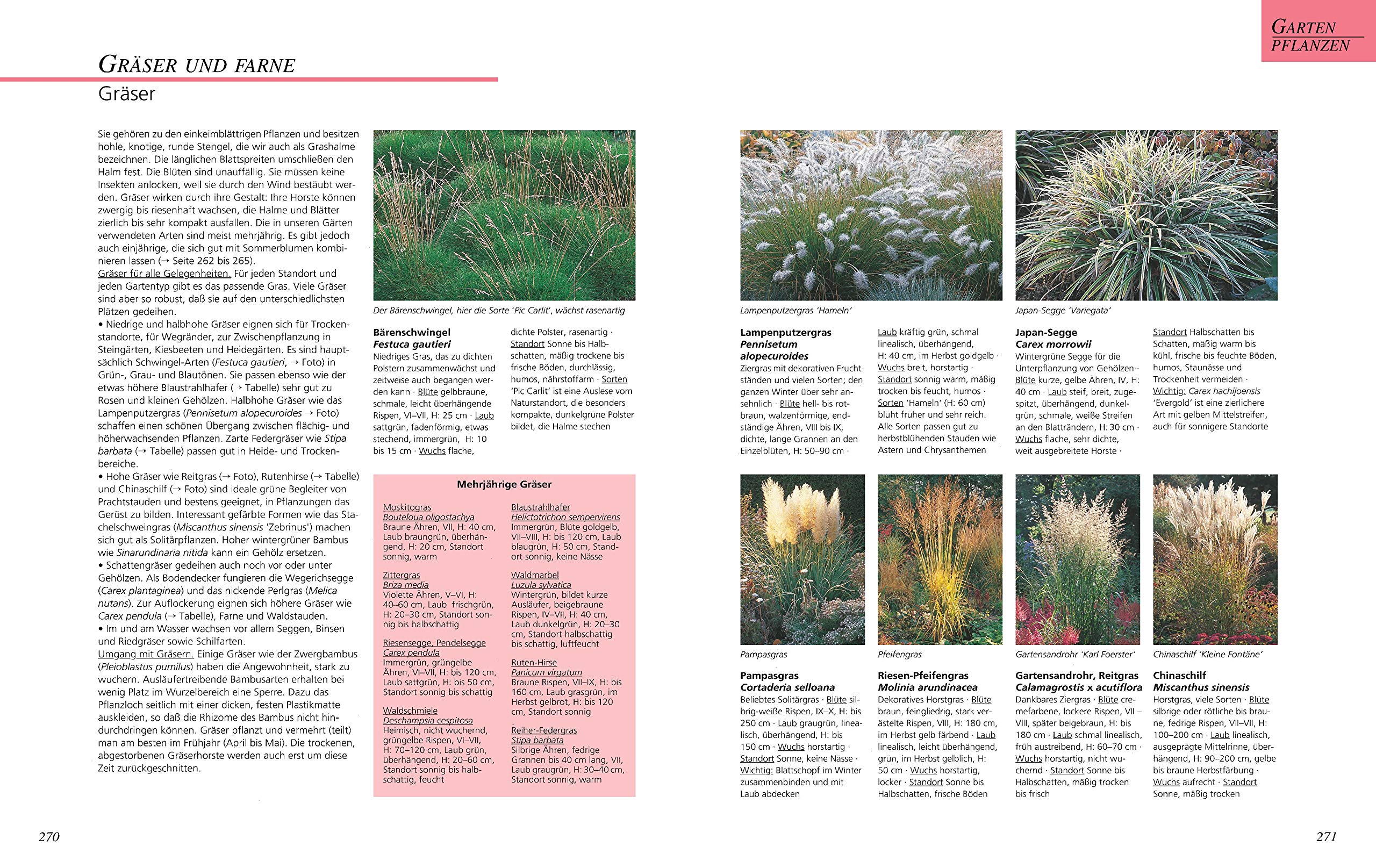 Das große GU Gartenbuch: Das Standardwerk für jeden Gartenliebhaber zu Pflanzenpflege, Gartengestaltung und Gartenpraxis | Garten-Ratgeber
