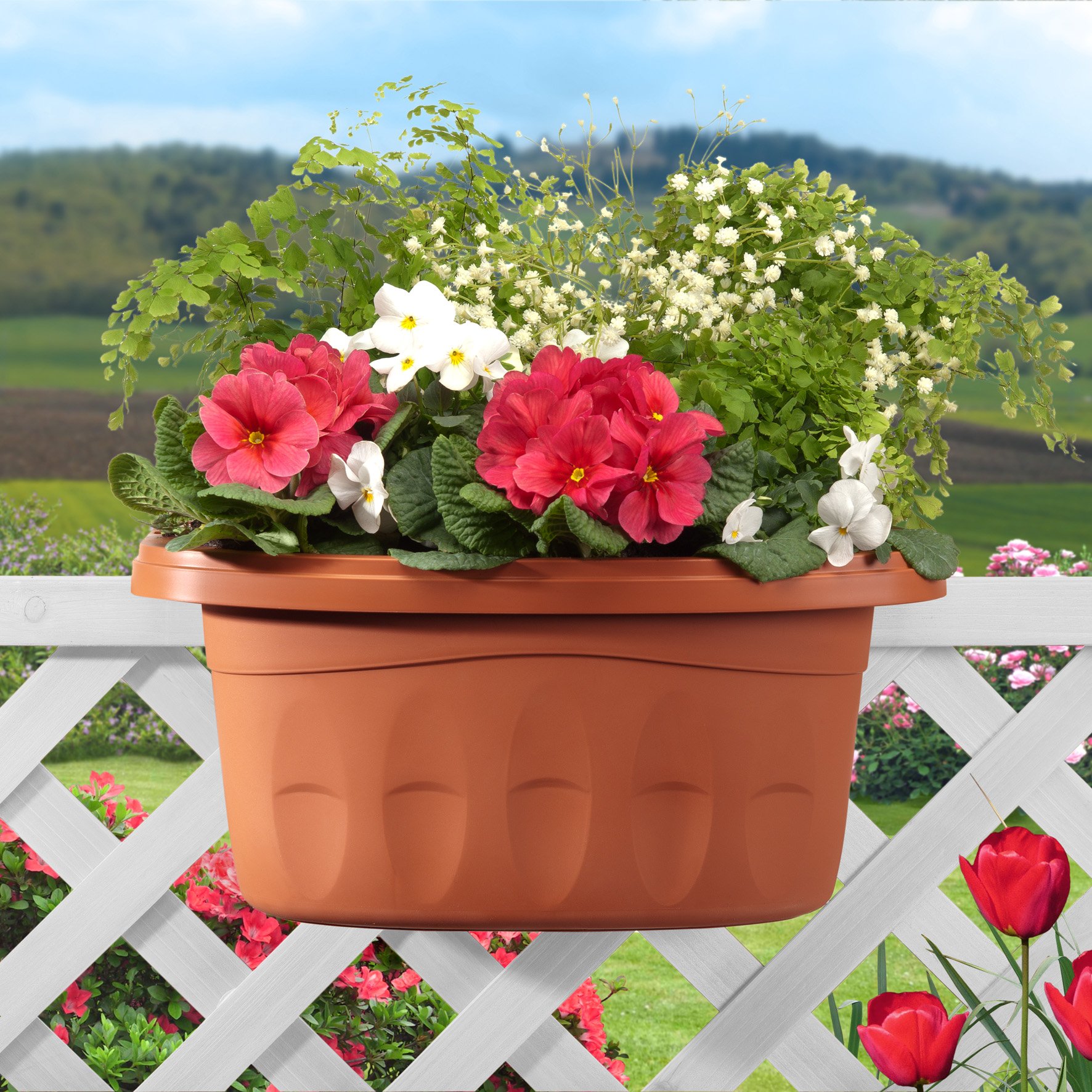 Fioriera da balcone doppia Klunia Bama 40 cm - OBI Italia