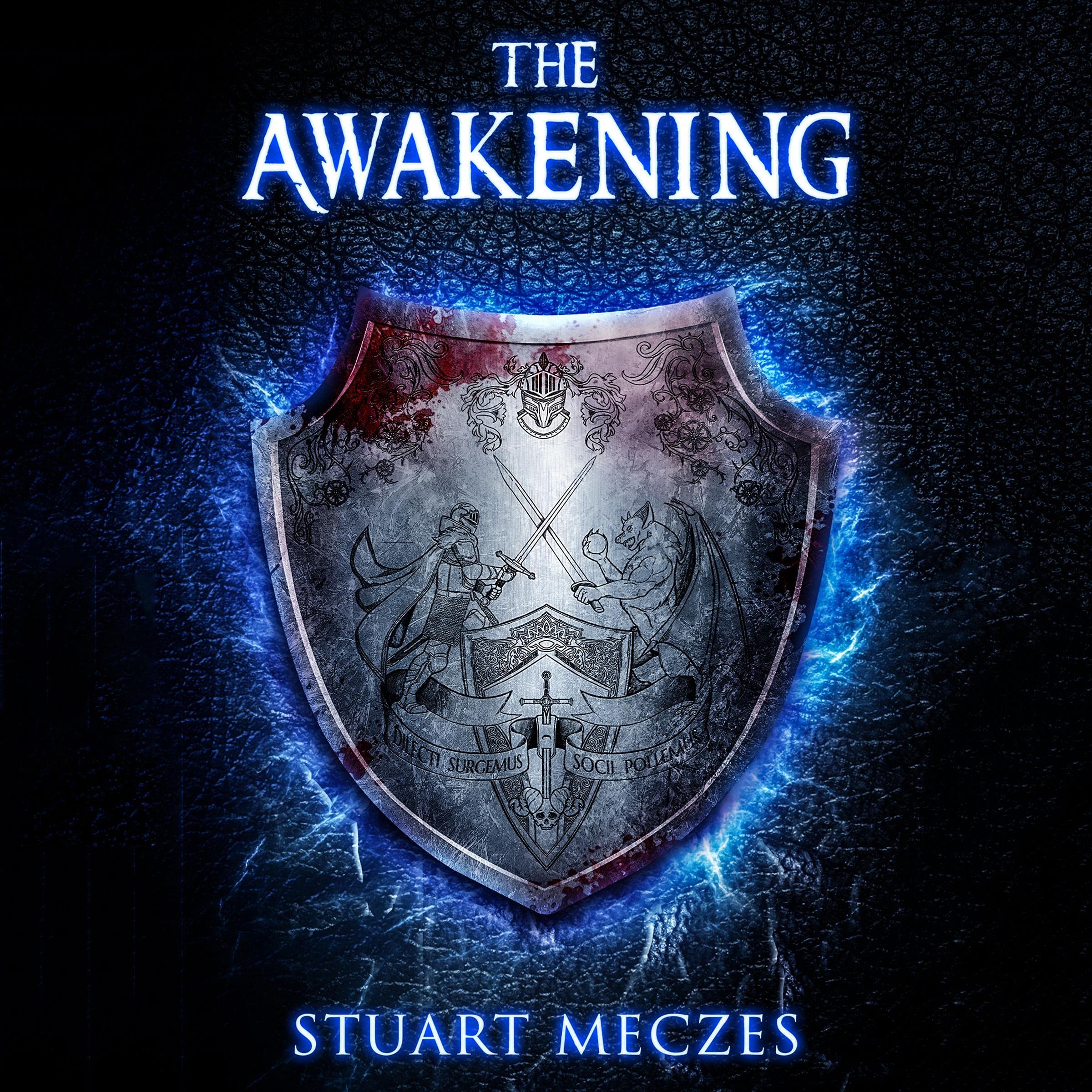 Cover art for The Awakening: Hasea Chronicles, Book 1