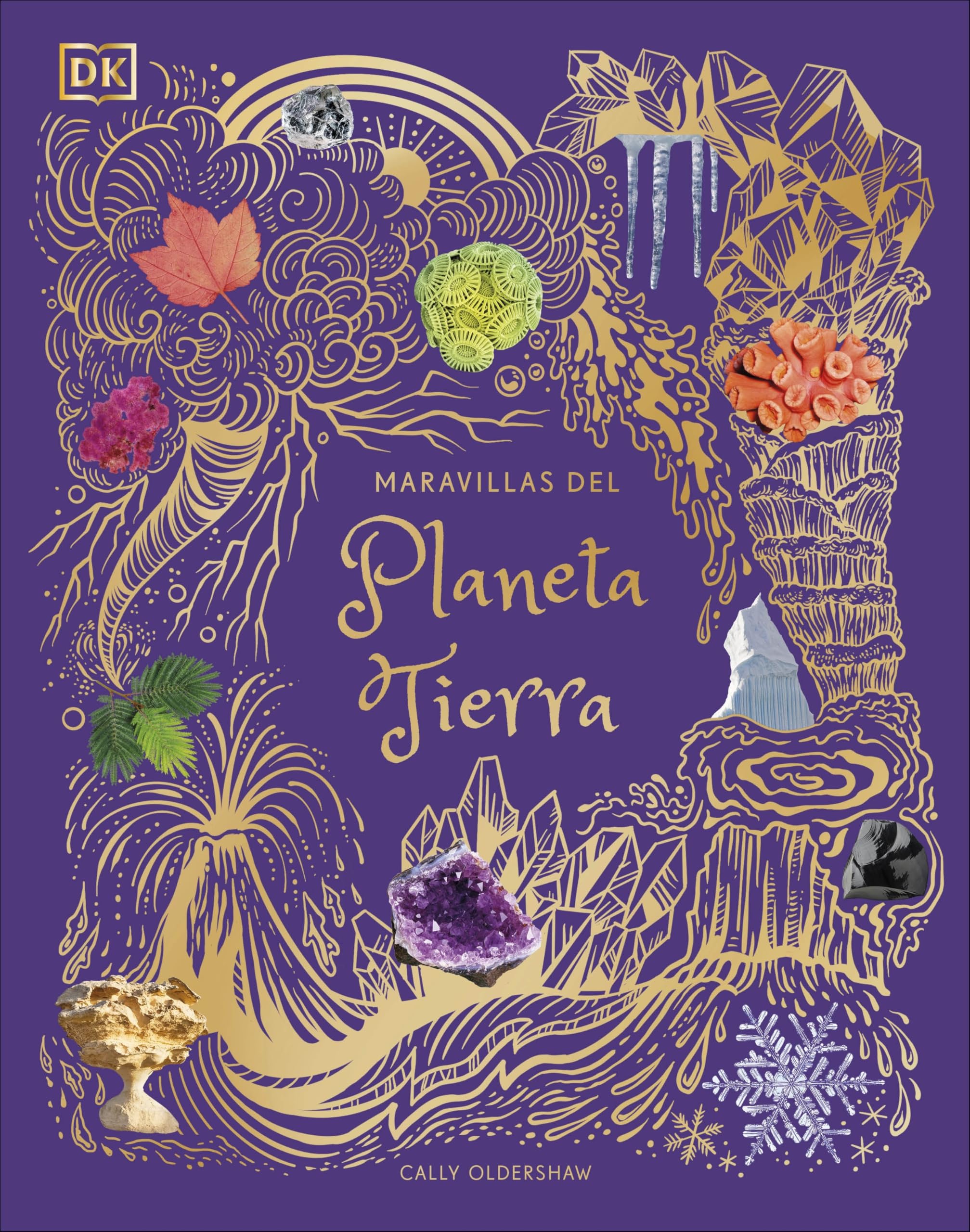 Maravillas del planeta Tierra (Planeta curioso) (DK Infantil)