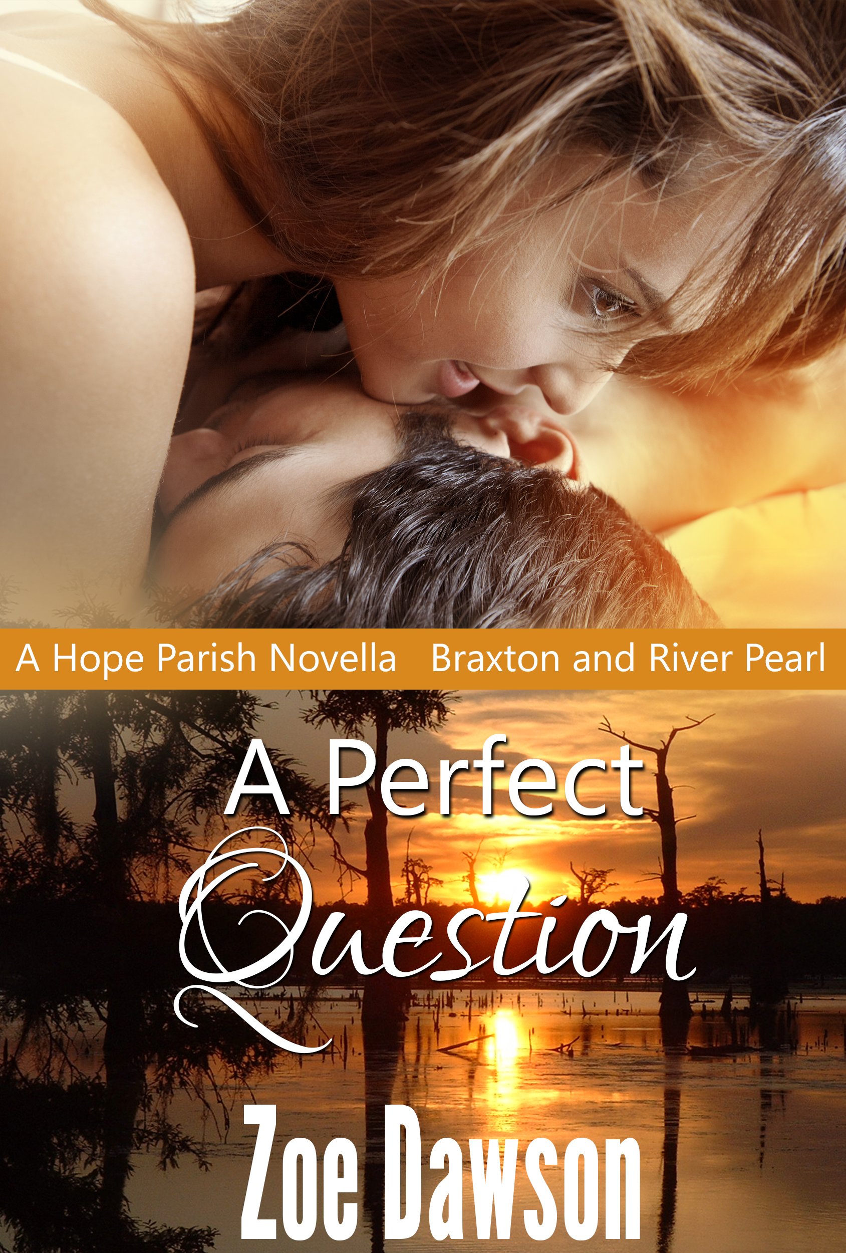 A Perfect Question (Hope Parish Novellas Book 6)