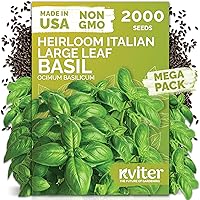 Vista 21 de KVITER 700 semillas de bálsamo de limón para plantar (Melissa Officinalis) - Semillas de hierbas medicinales orgánicas y tradicionales - Cultivar