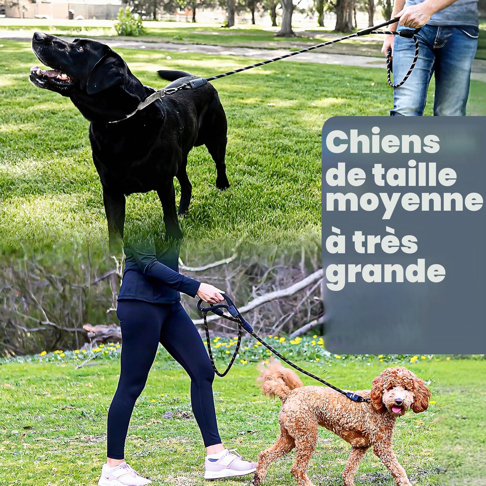 Laisse pour Chien de 1,8 m très résistante, Extra rembourrée, Deux poignées, Mousqueton en métal verrouillable, Pinces en Silicone Durable, Absorption des Chocs, Laisse réfléchissante