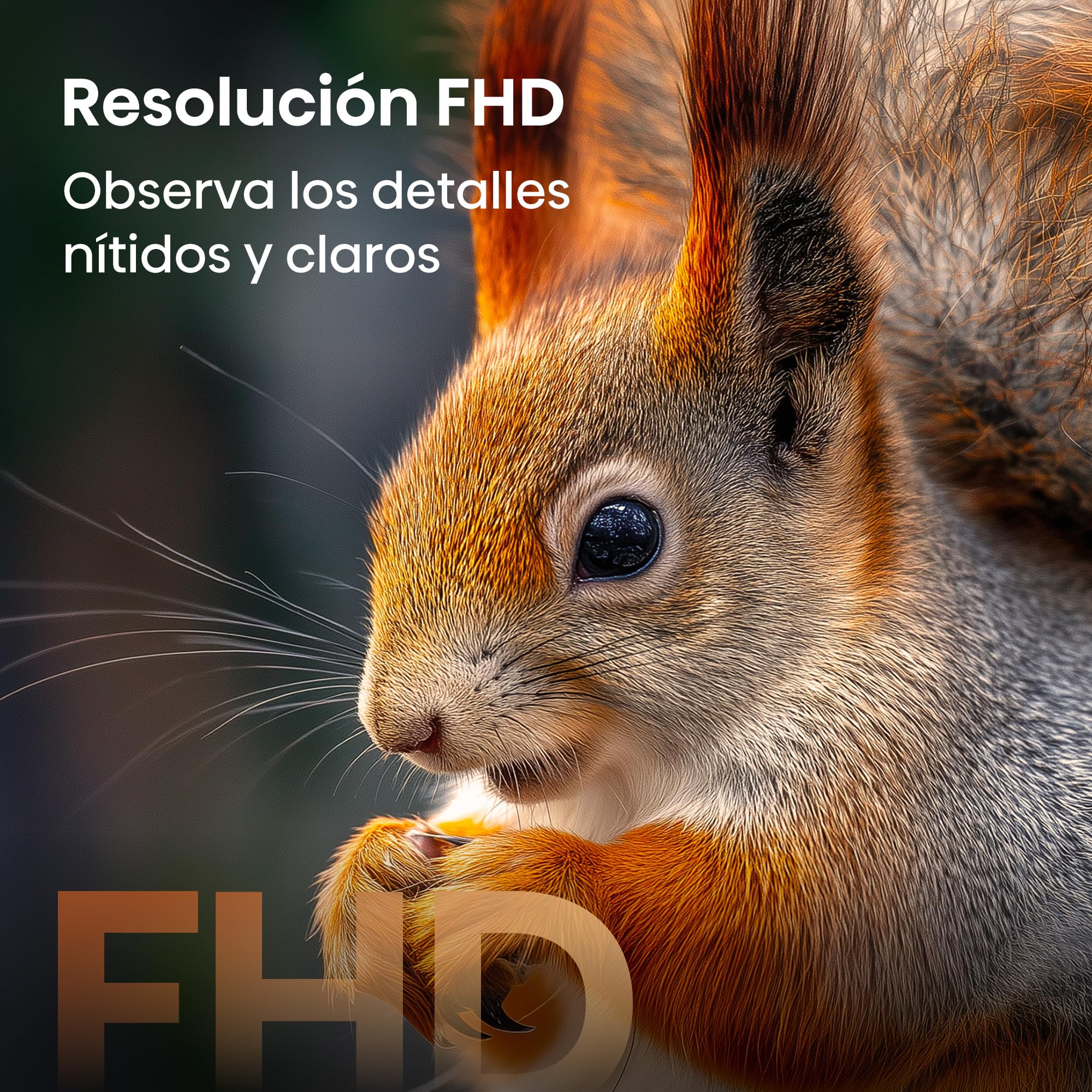 Hisense 32A5S - Hi-QLED FHD Smart TV 32 Pulgadas, Hi-QLED Color, Dolby Atmos, Posición de Monitor, Resolución FHD, Reducción de Ruido, Airplay, Smart Home Ready