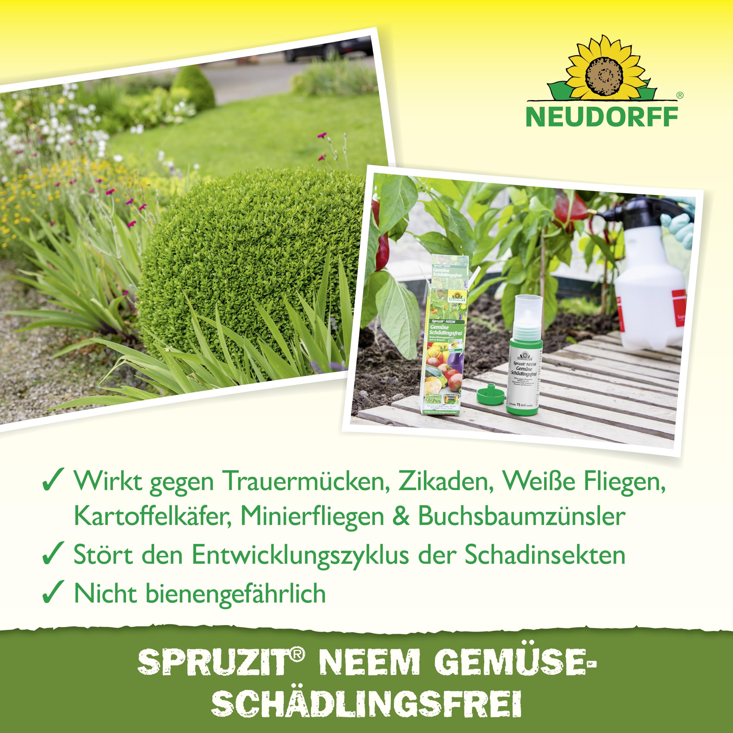Neudorff Spruzit NEEM - Concentrato per la lotta contro parassiti come afidi, moscerini e bruchi su verdure ed erbe, 75 ml